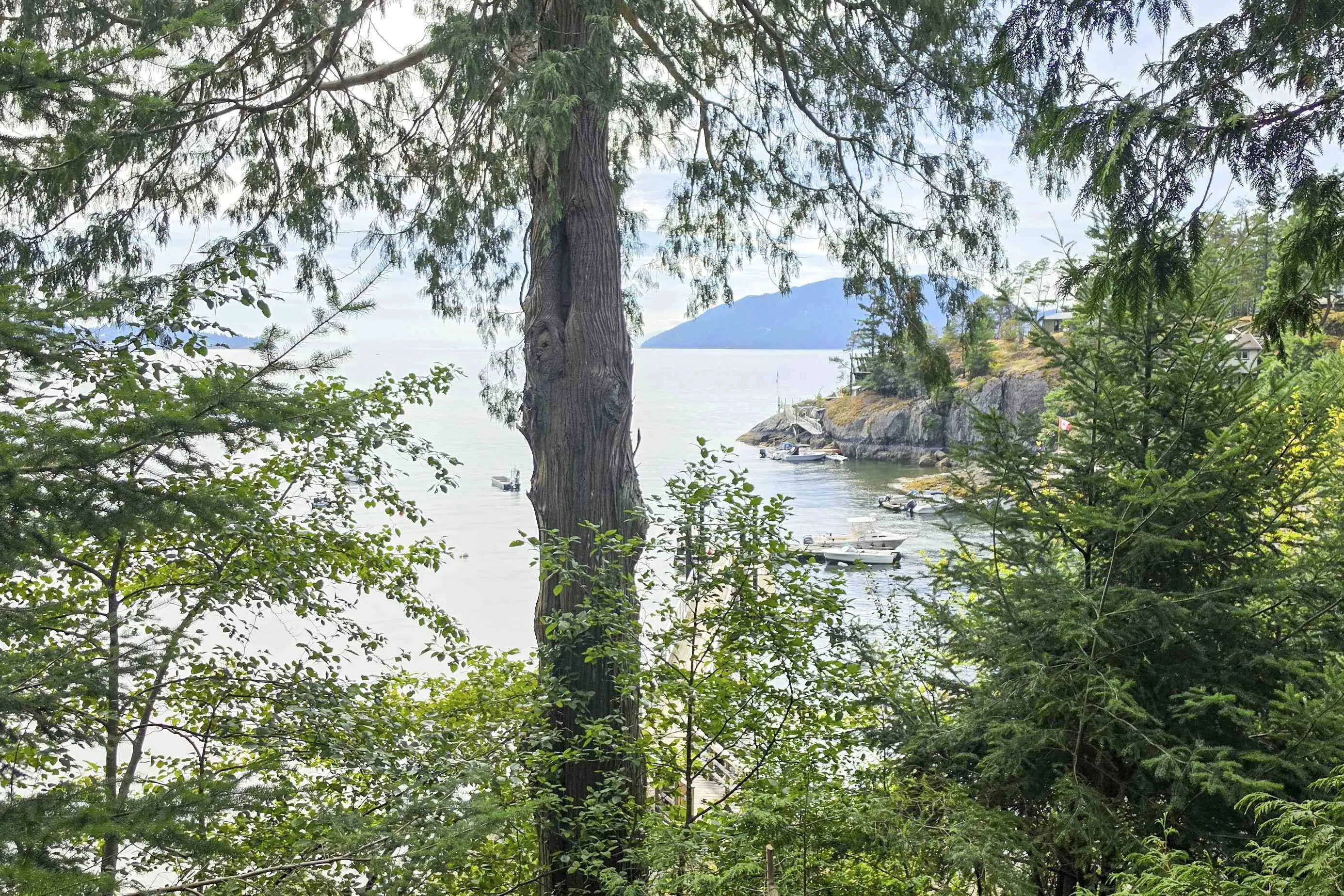 SC 122 Bowyer Island Estates #SITE 8