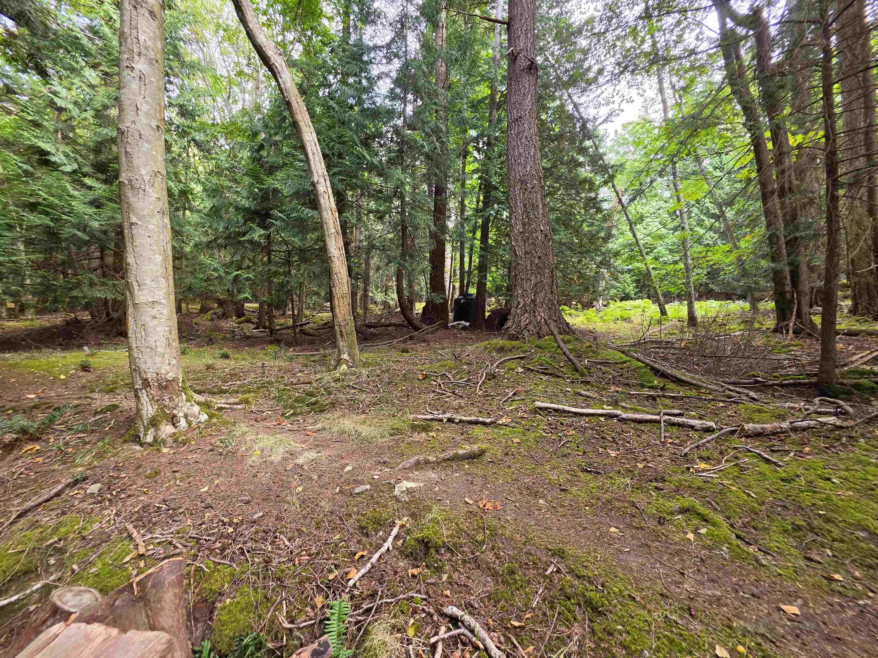 SC 122 Bowyer Island Estates #SITE 8