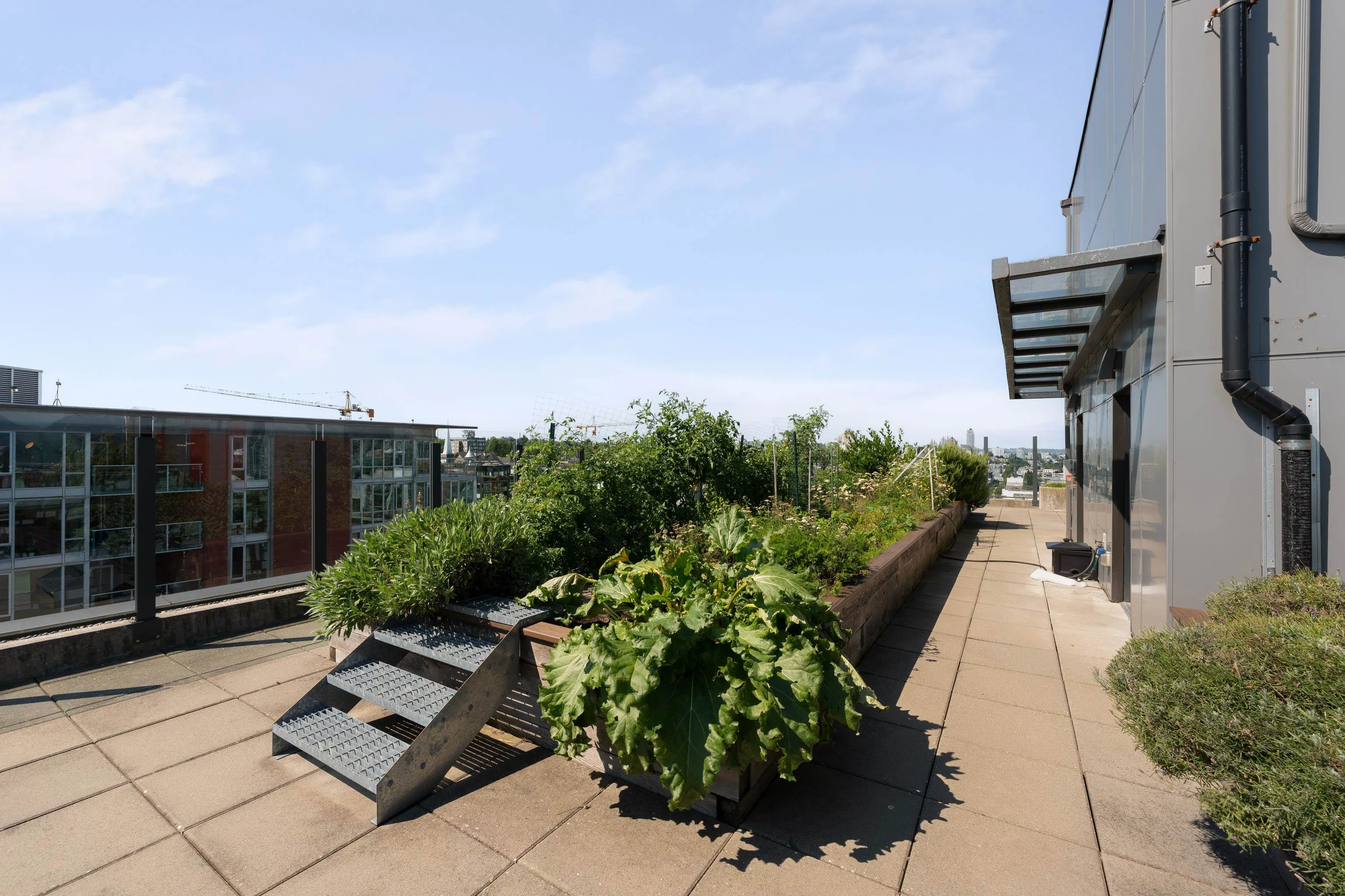 209 E 7th Avenue #414
