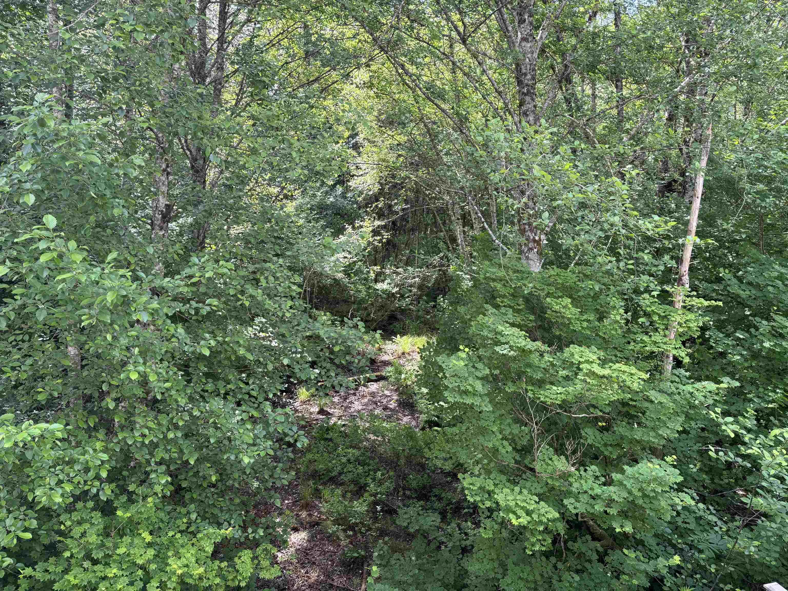 39548 Loggers Lane #28