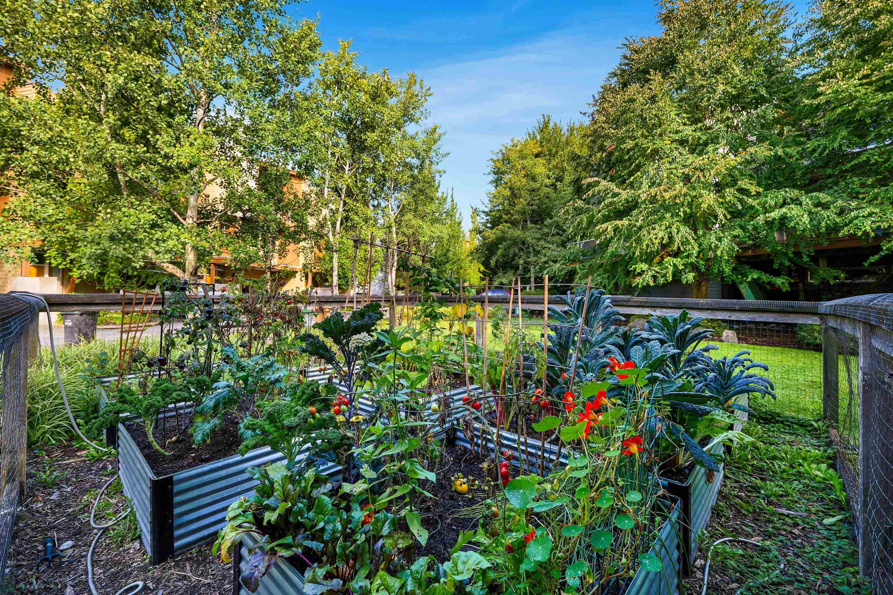 39893 Government Road #28