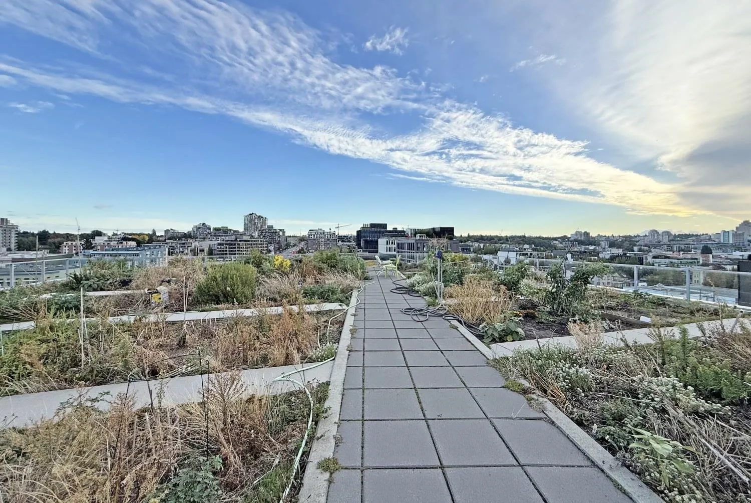 180 E 2nd Avenue #1211