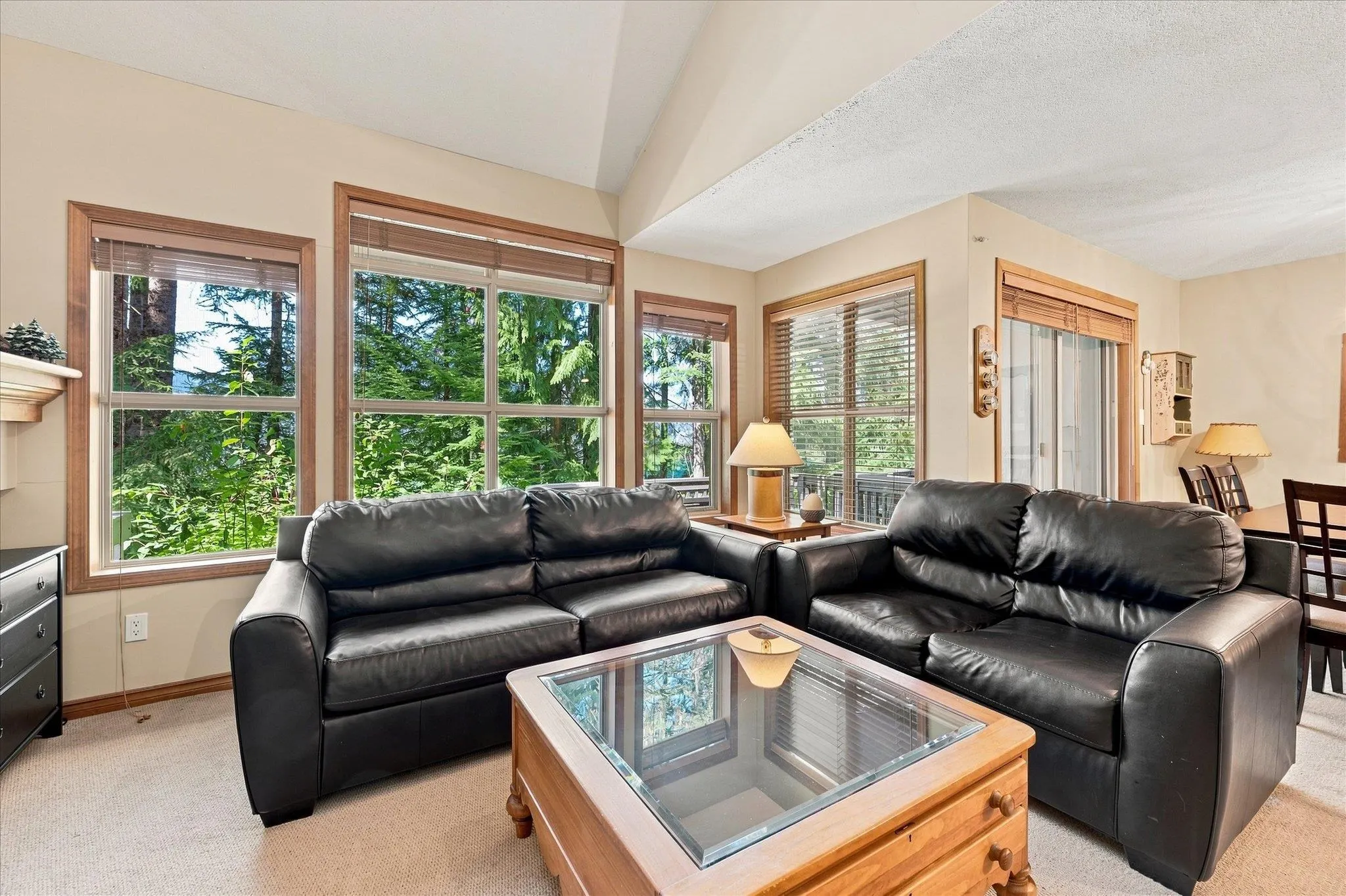 4890 Painted Cliff Road #20