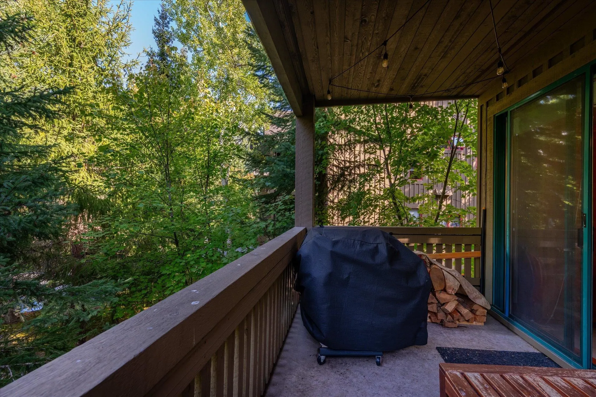 4652 Blackcomb Way #17
