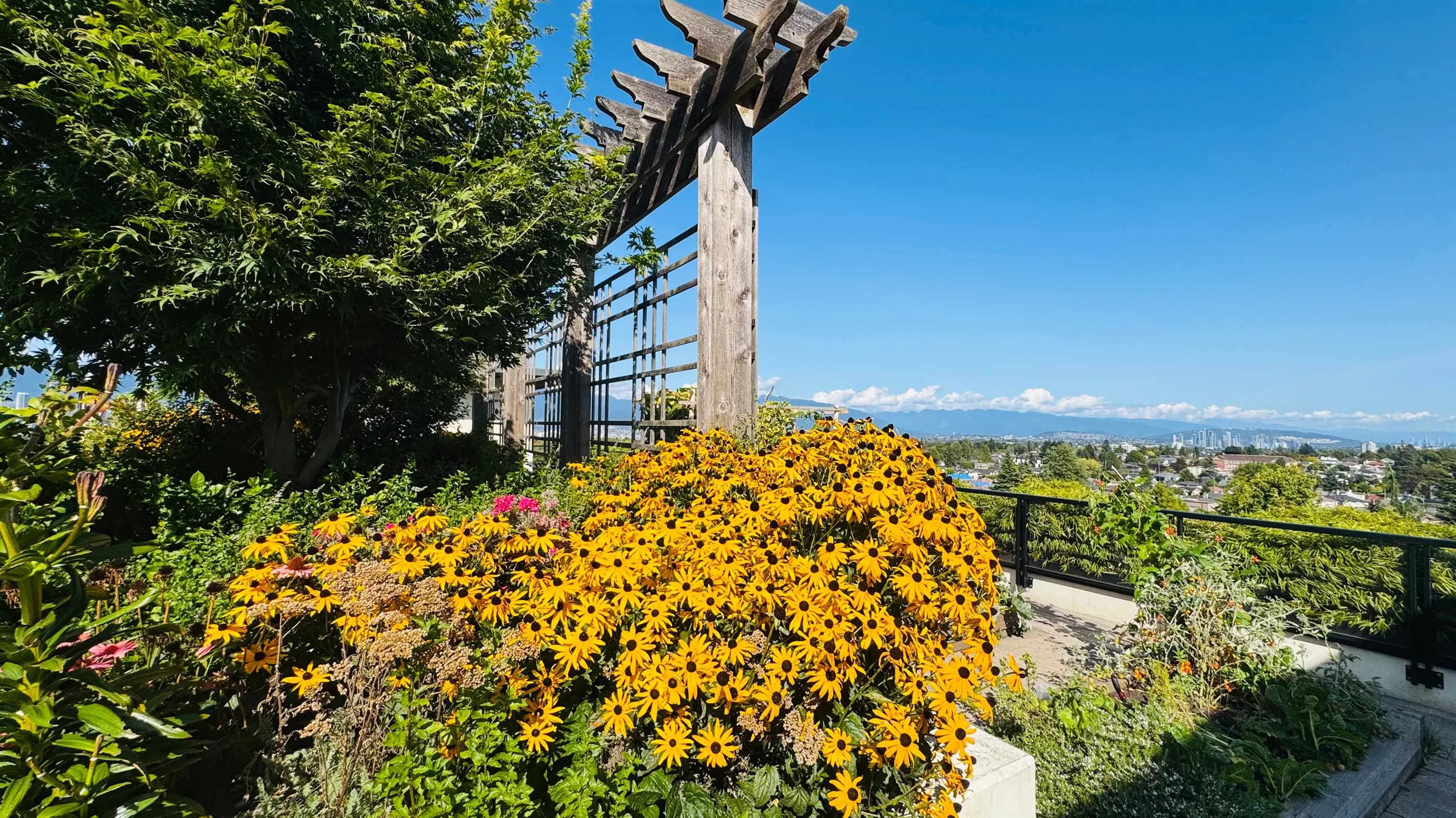 4408 Cambie Street #303