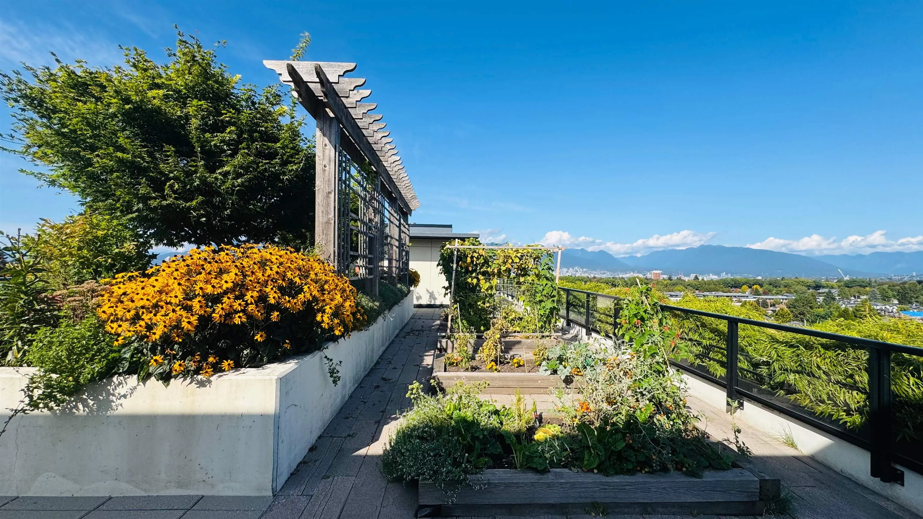 4408 Cambie Street #303