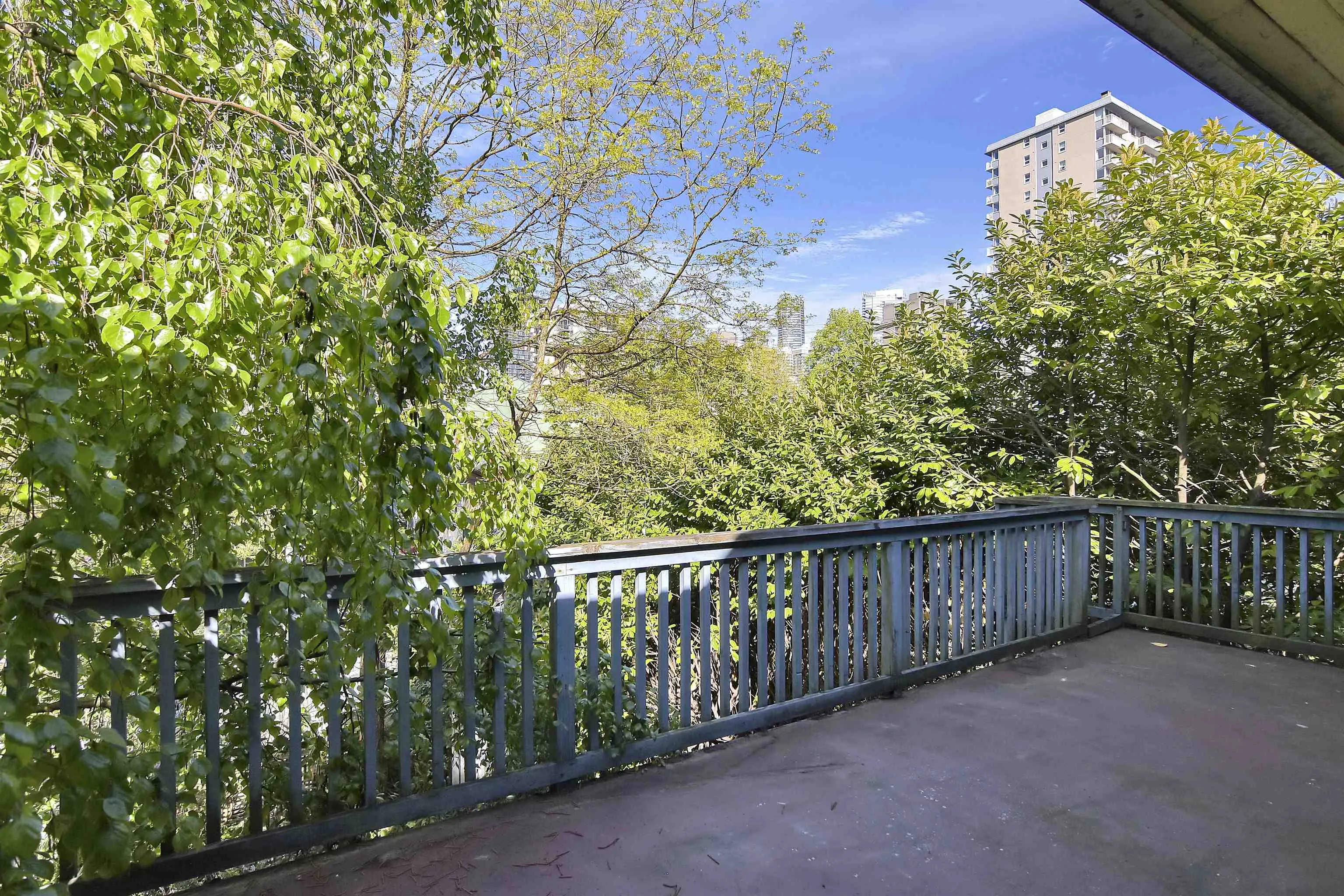 1517 Comox Street #2