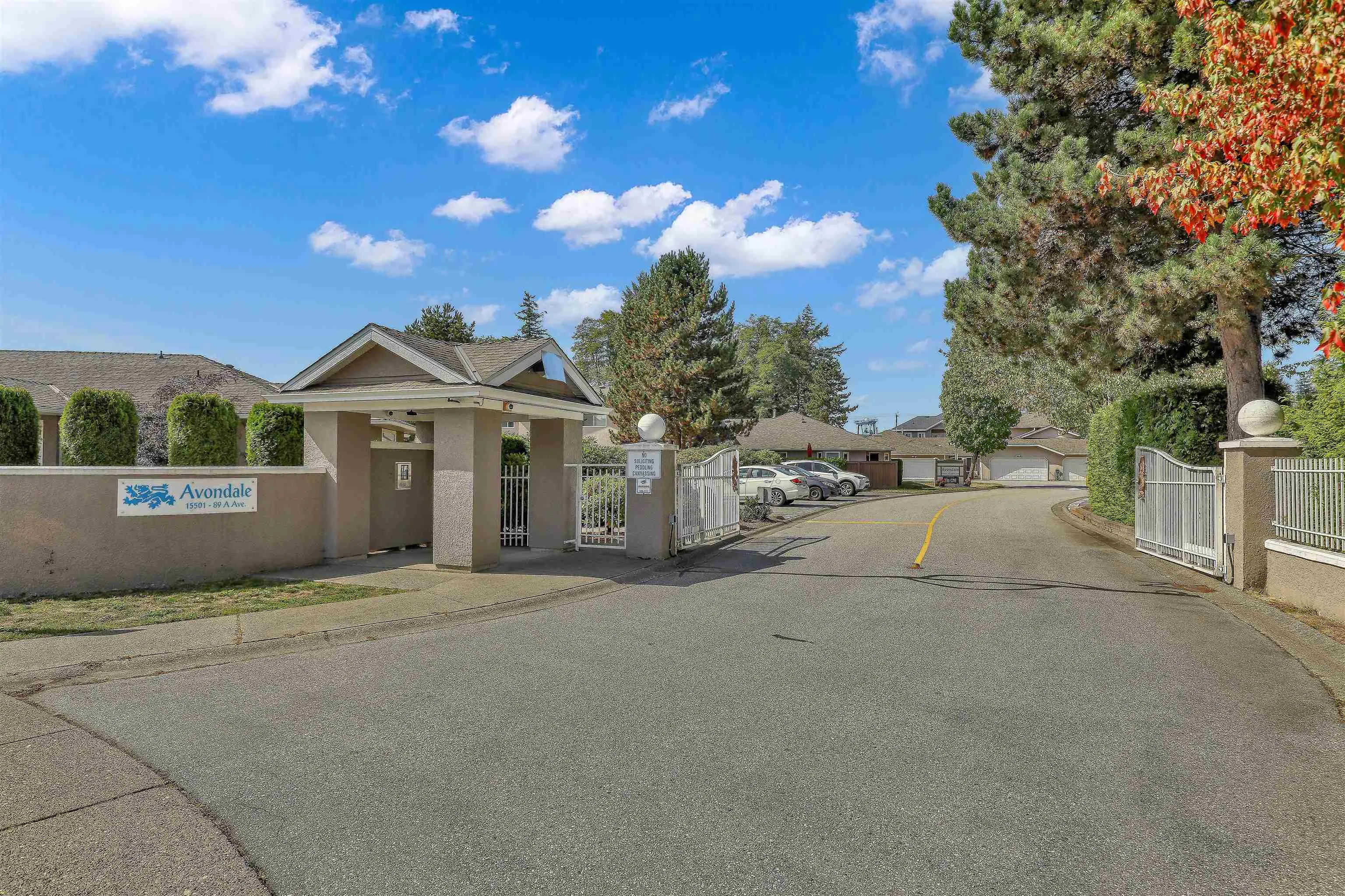 15501 89a Avenue #116