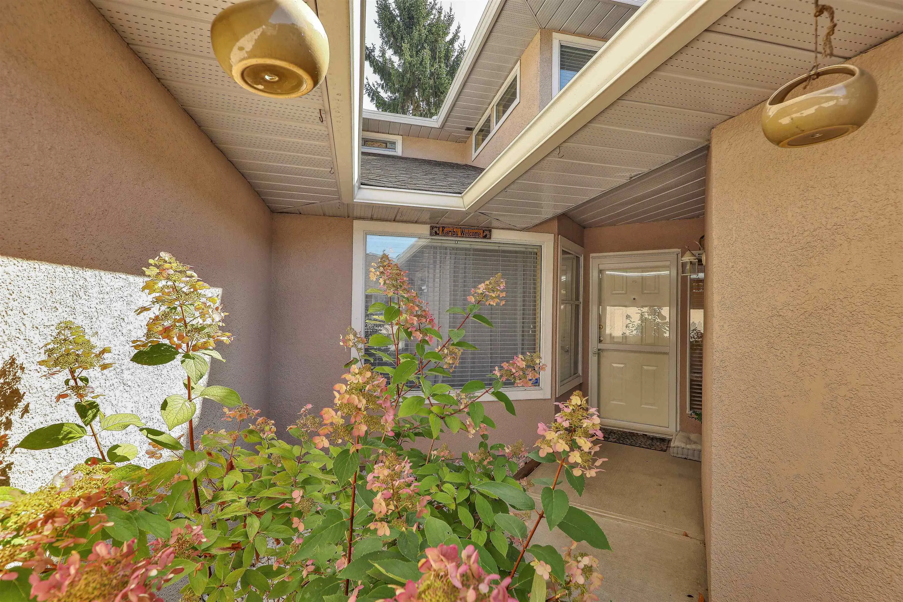 15501 89a Avenue #116