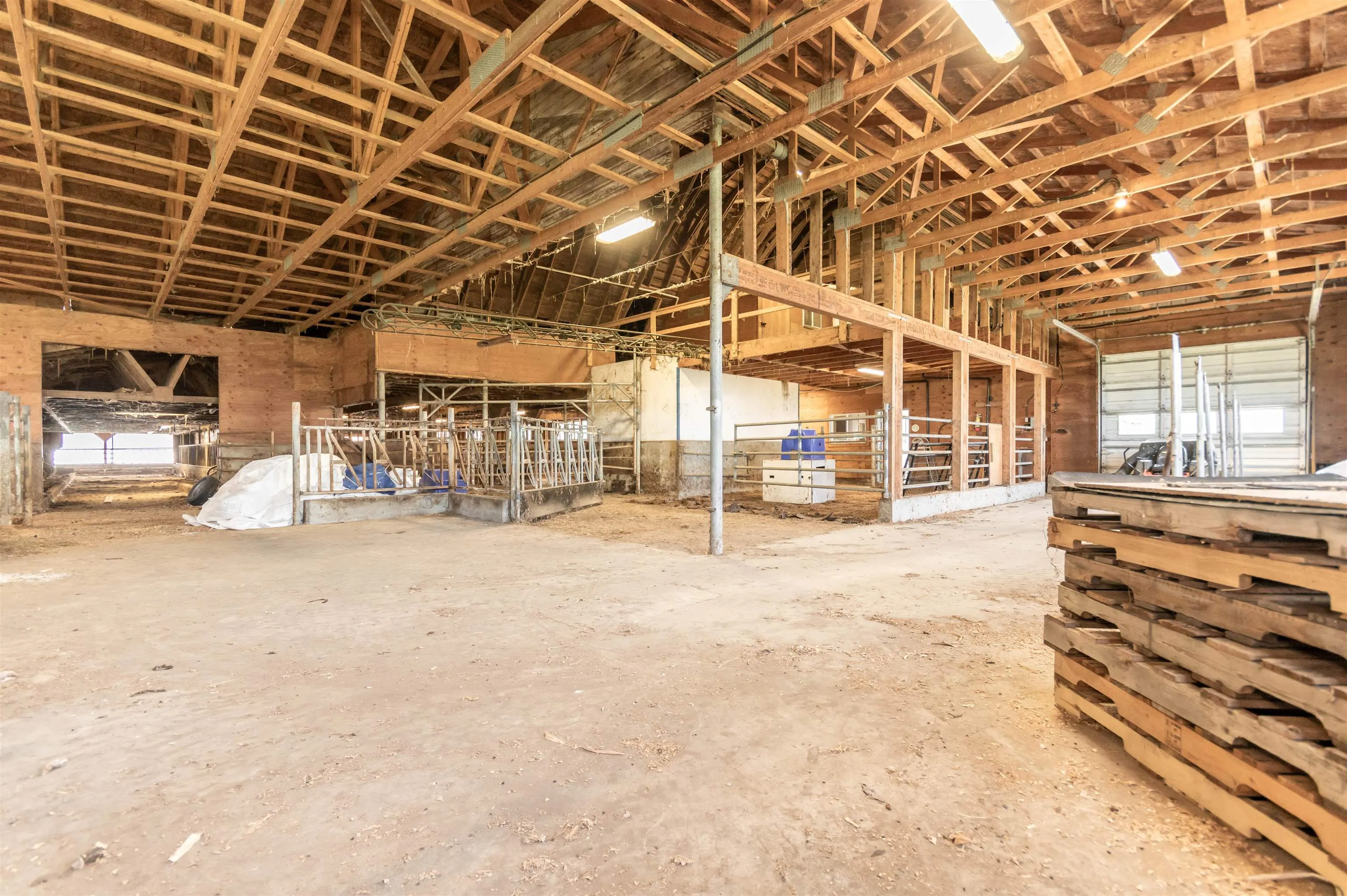 88 Corbould Road
