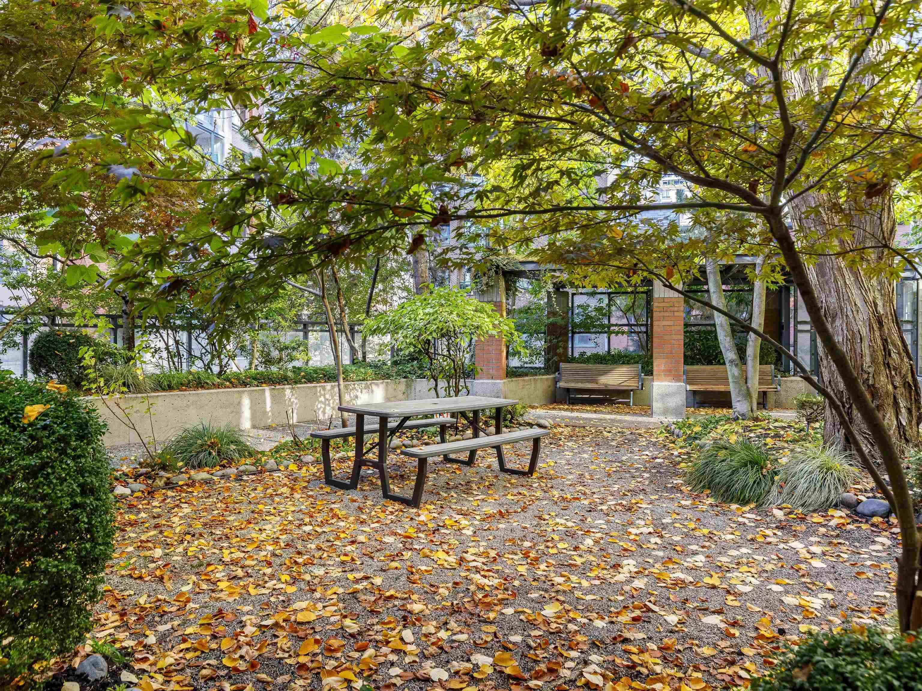 212 Davie Street #1703