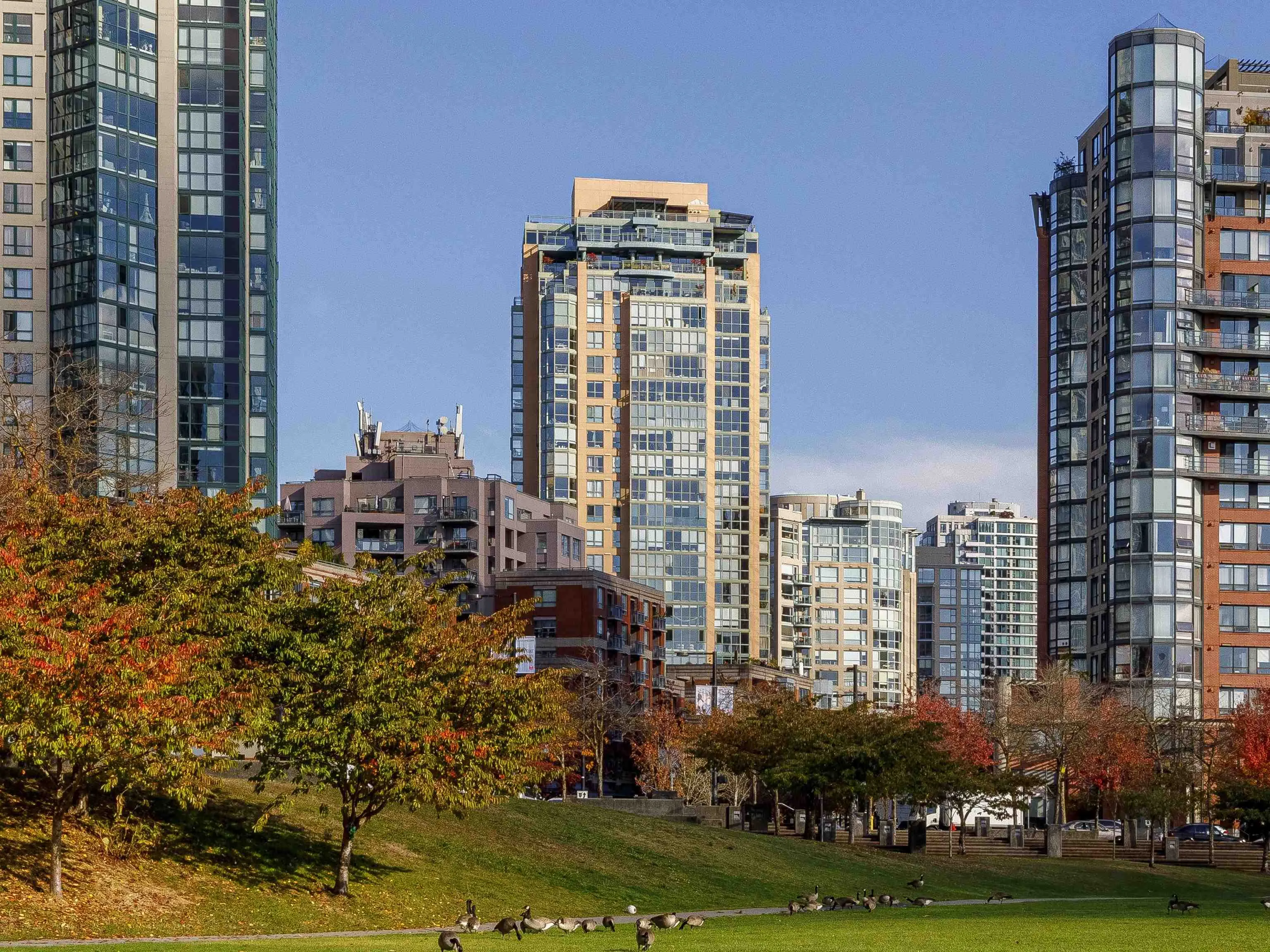 212 Davie Street #1703