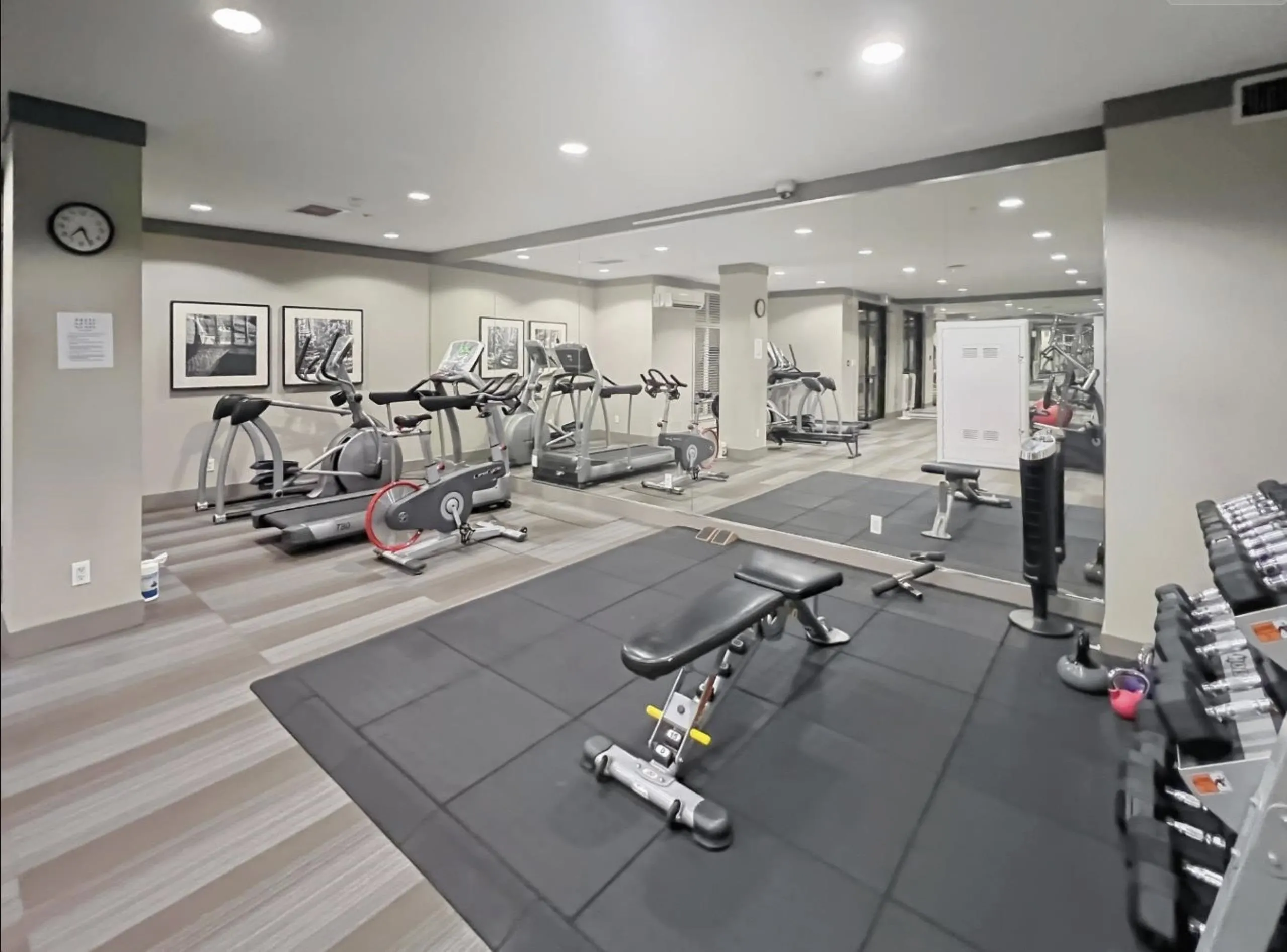 260 Salter Street #104