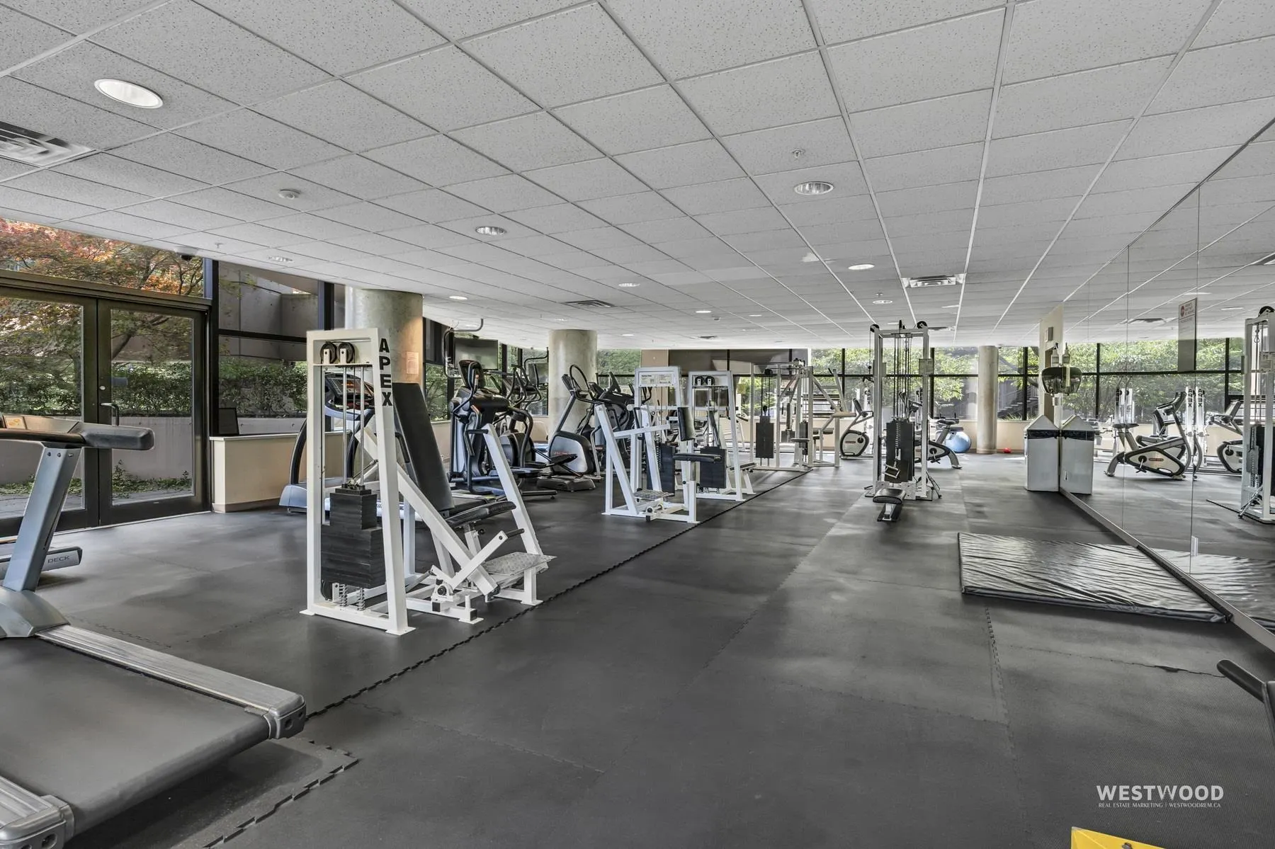 1367 Alberni Street #1708