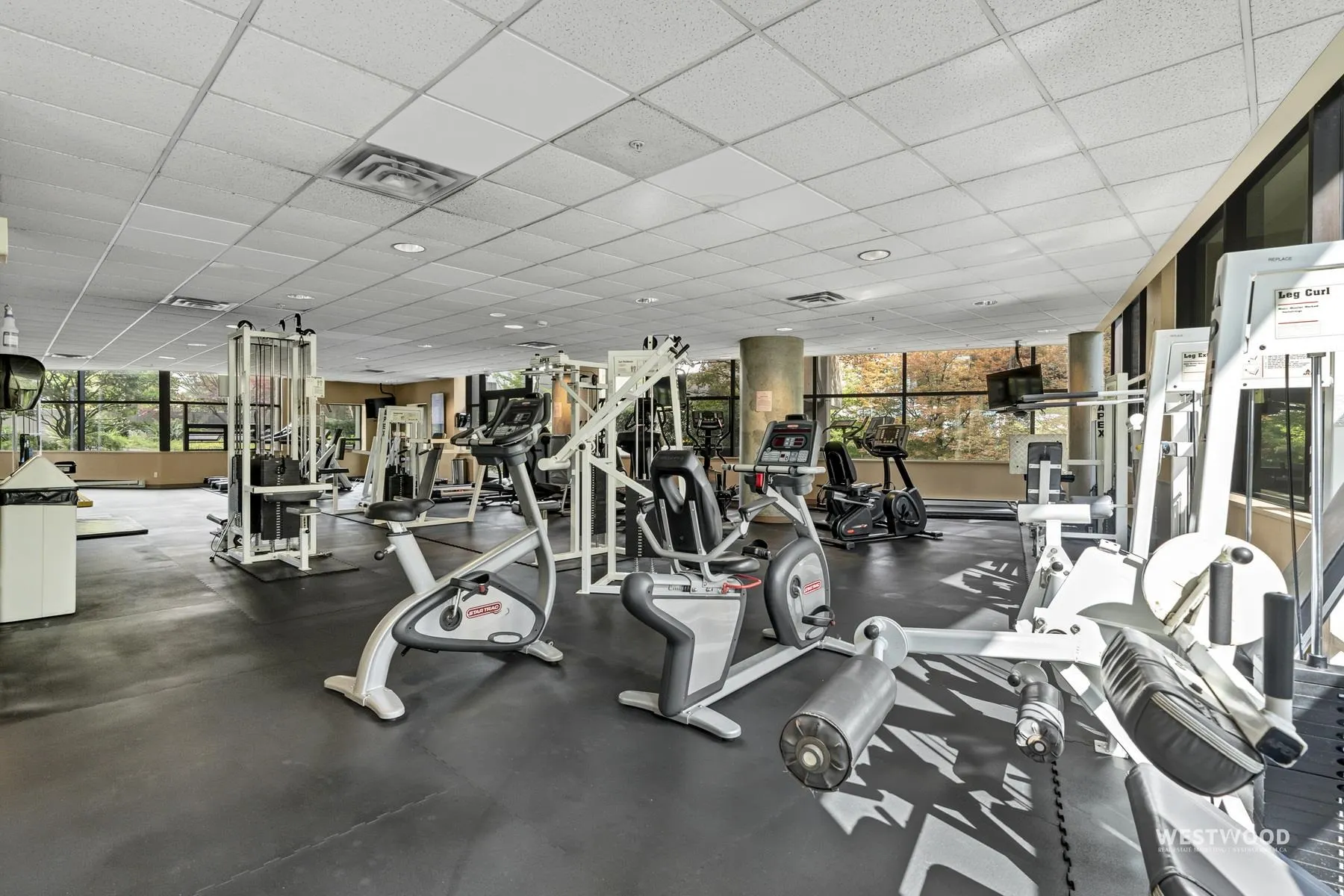 1367 Alberni Street #1708