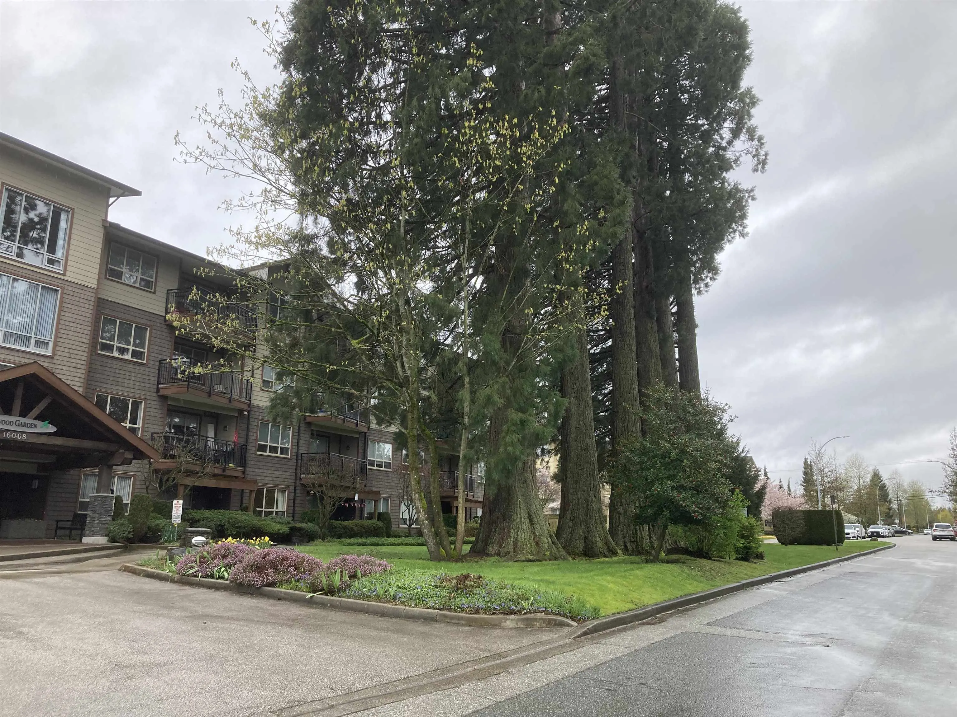 16068 83 Avenue #304