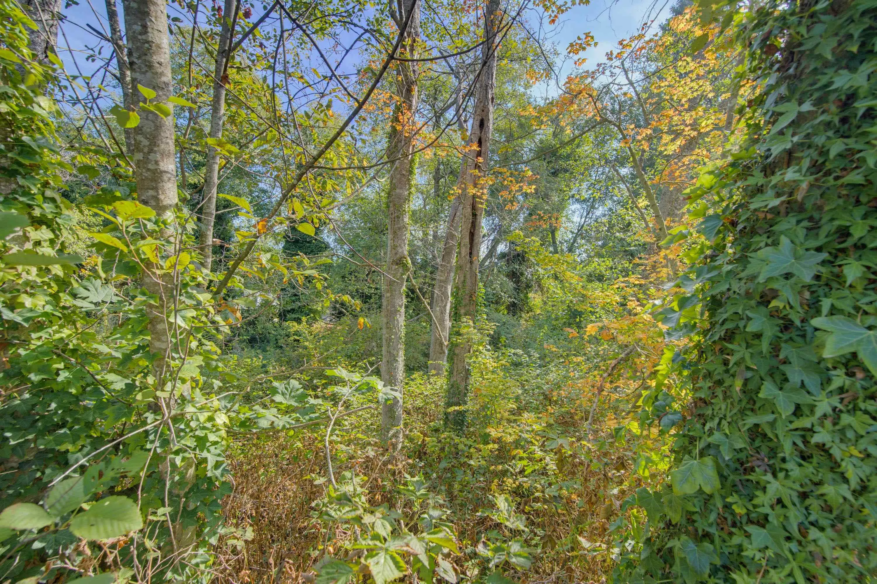 2270 196 Street #23