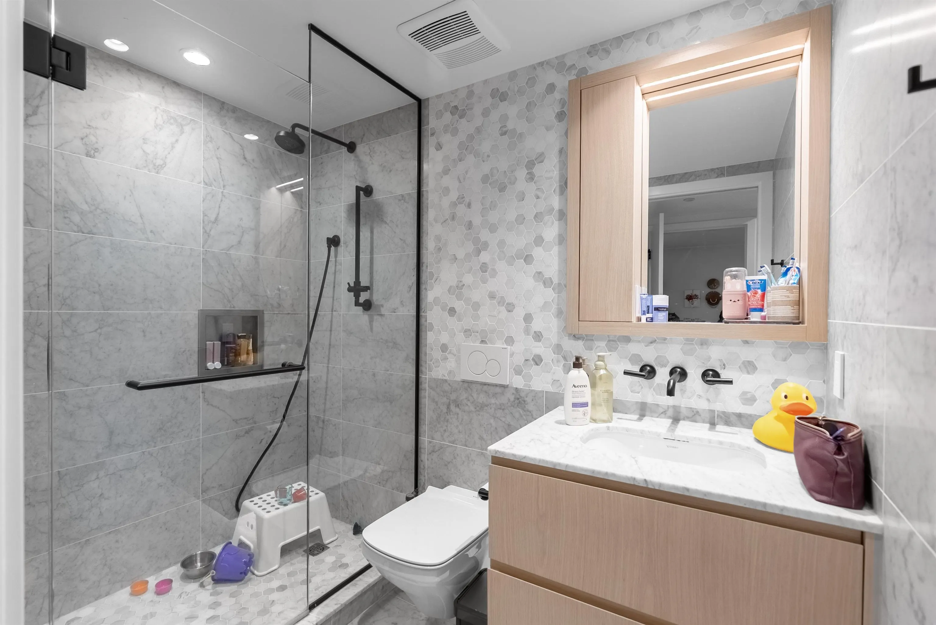 1365 Davie Street #203