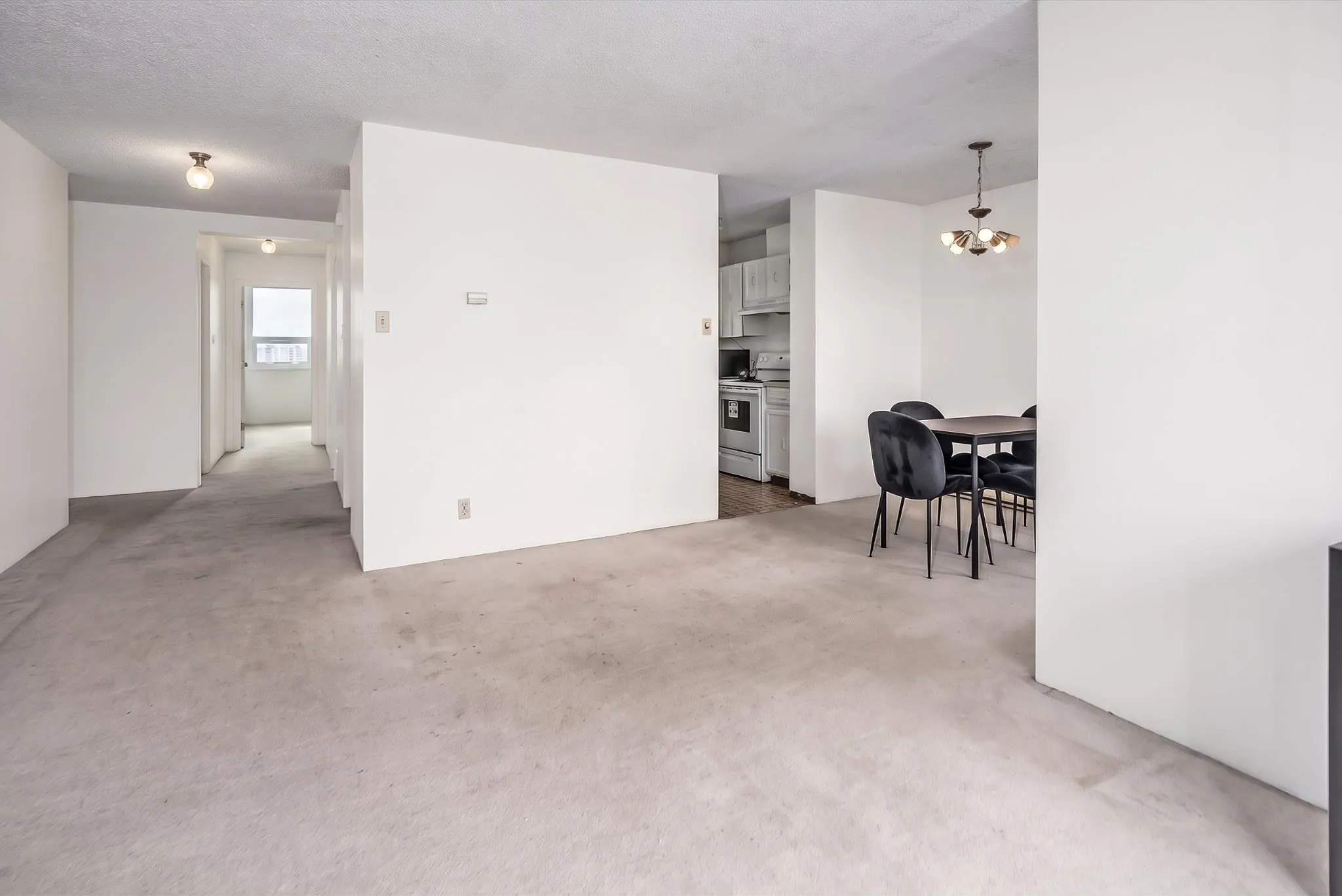 1500 Haro Street #1101