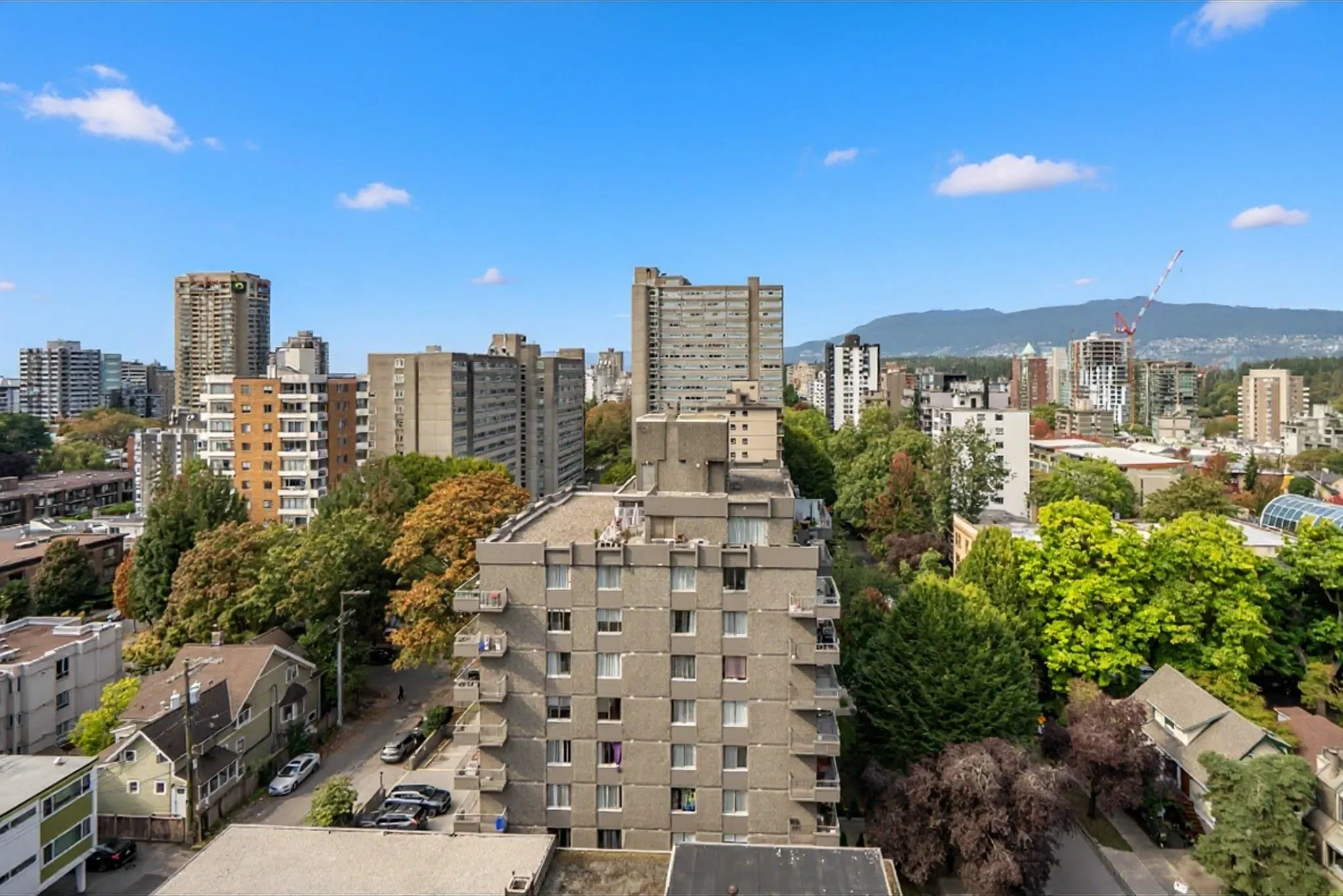 1500 Haro Street #1101