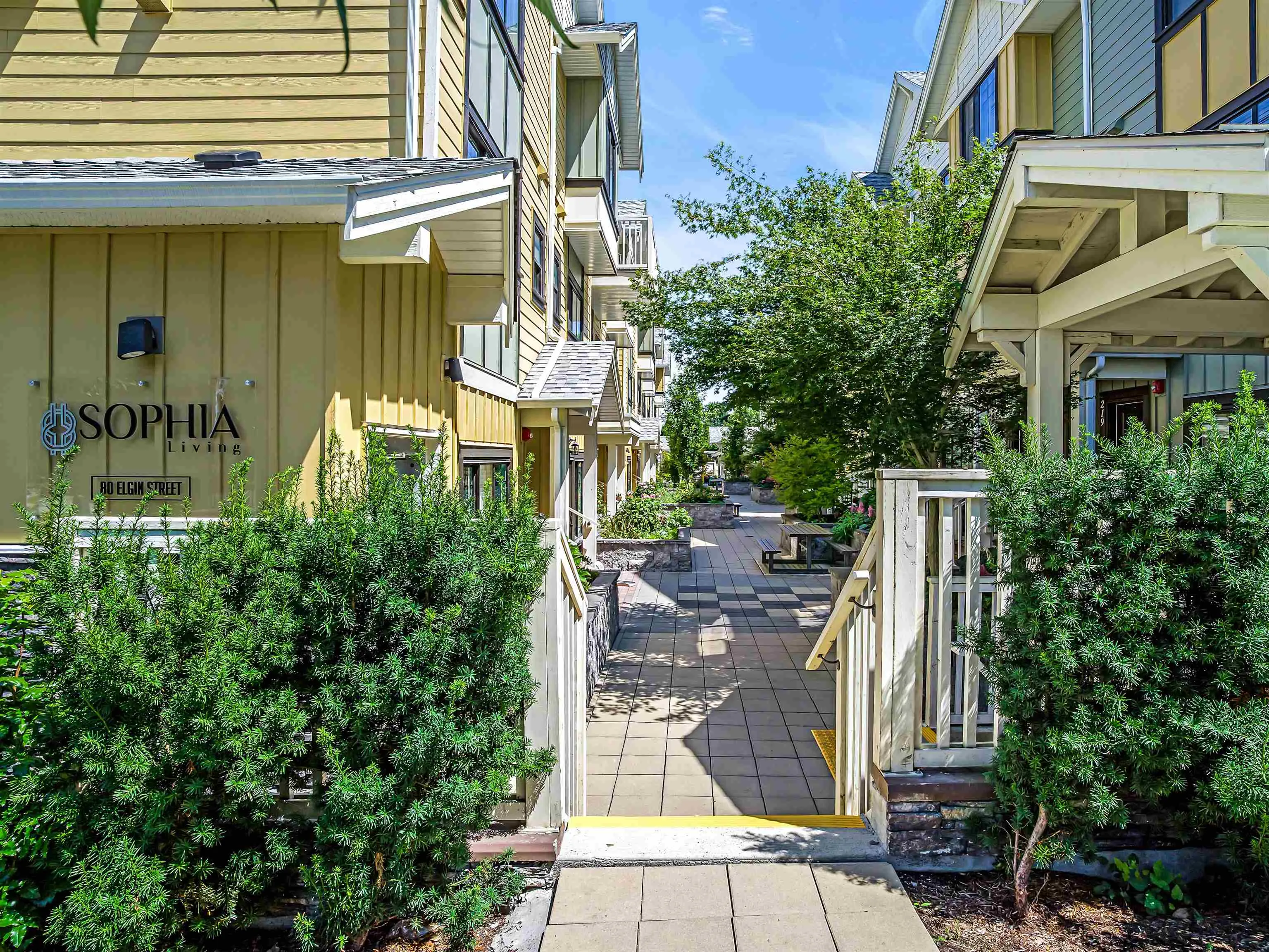 80 Elgin Street #208