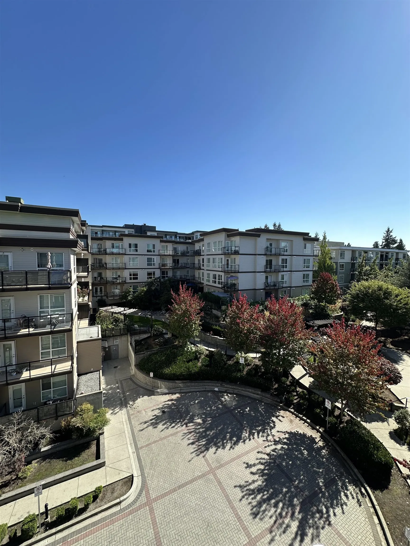 13728 108 Avenue #505