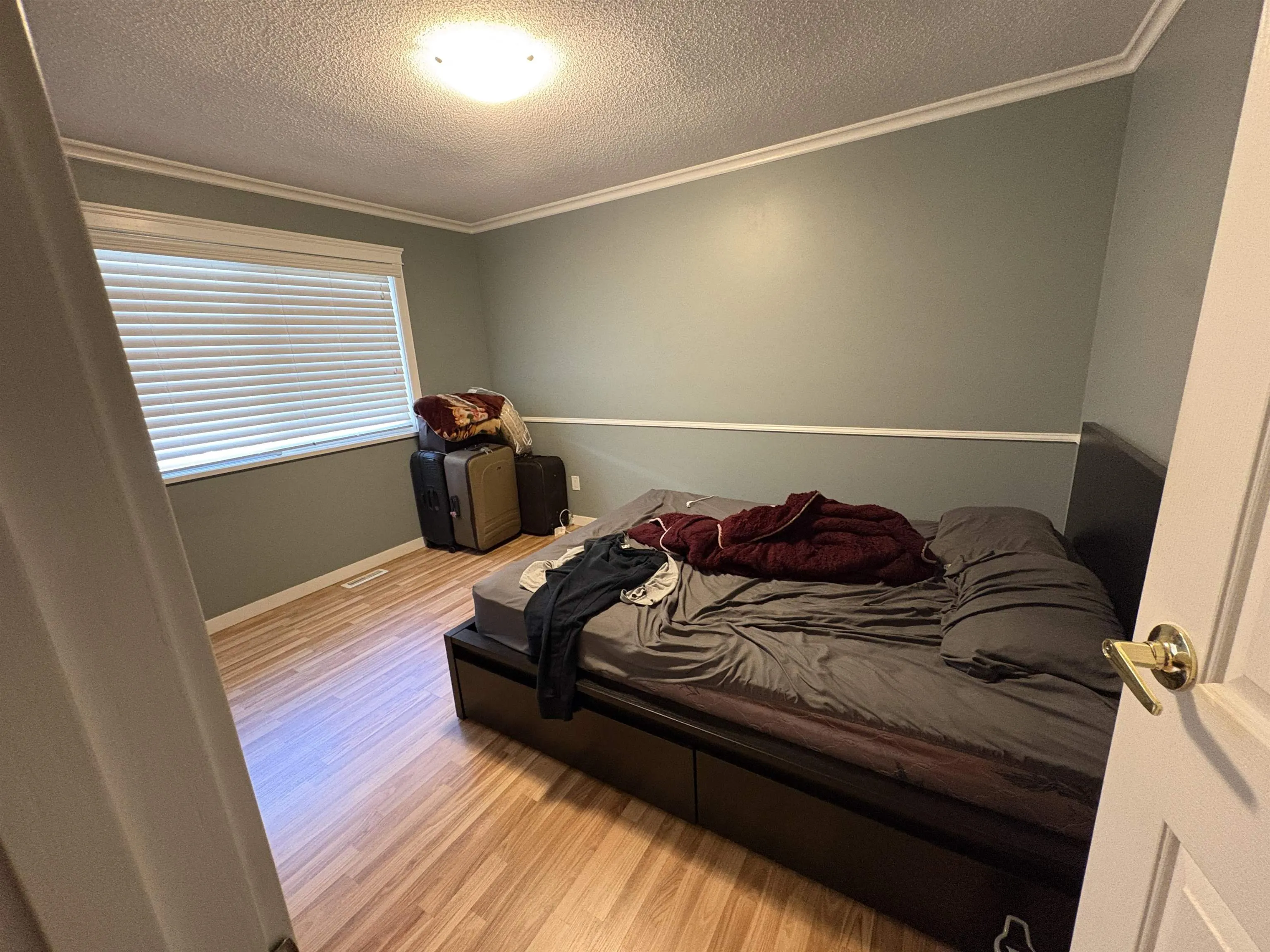 17234 Jersey Drive