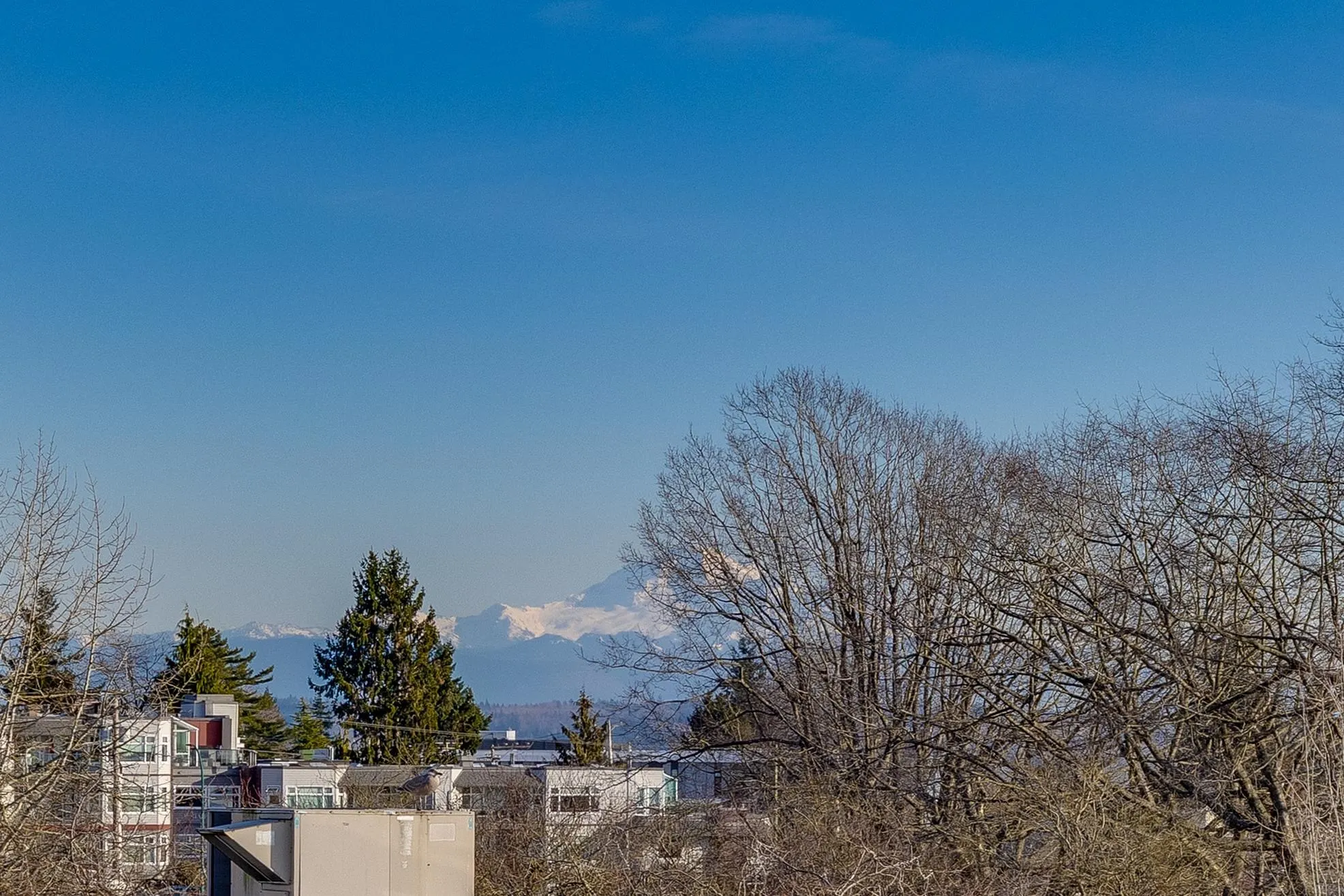15161 Prospect Avenue #3