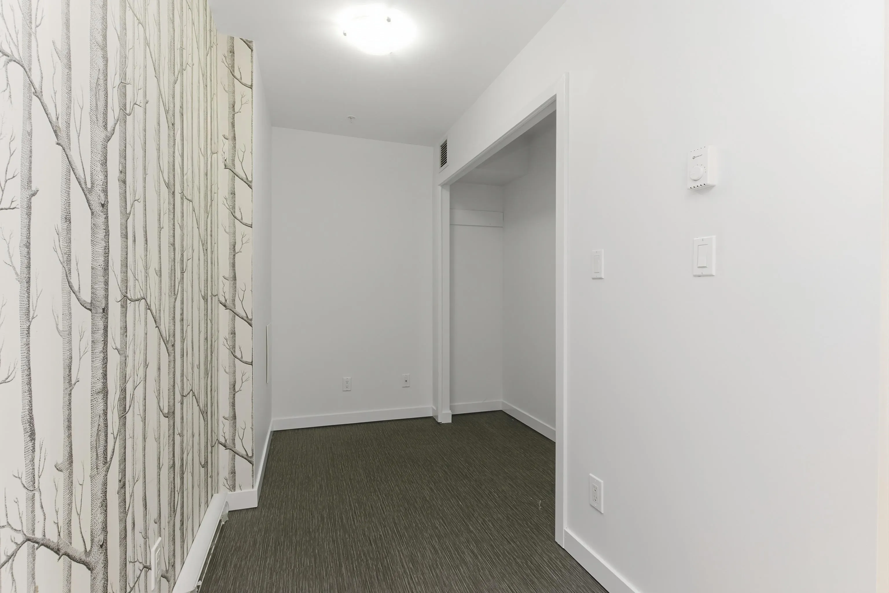 1212 Main Street #115