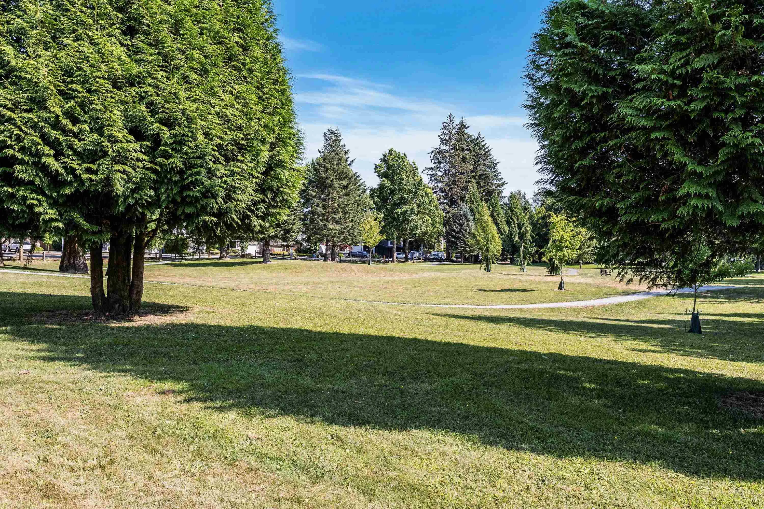 10113 Williams Road #6