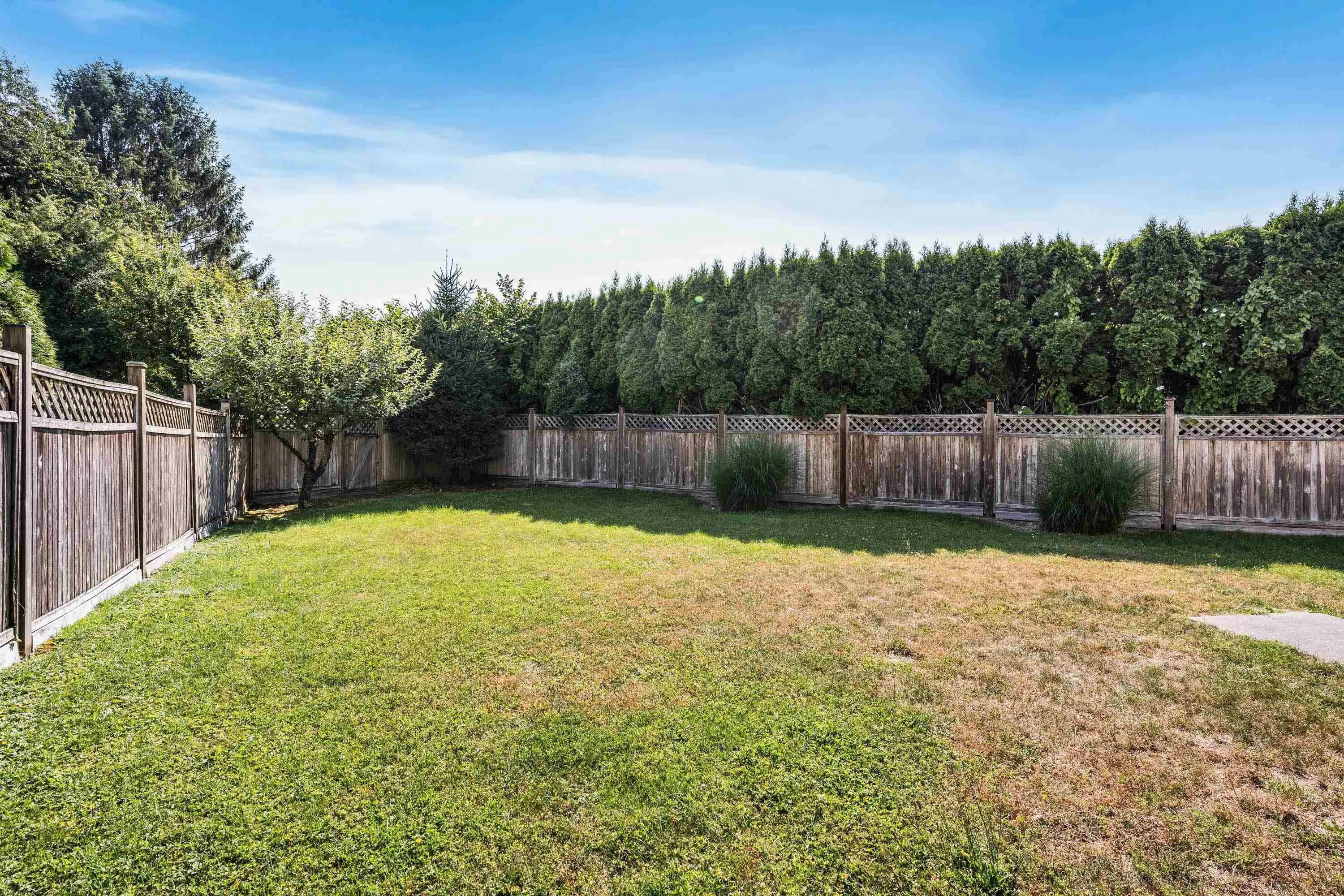 10113 Williams Road #6