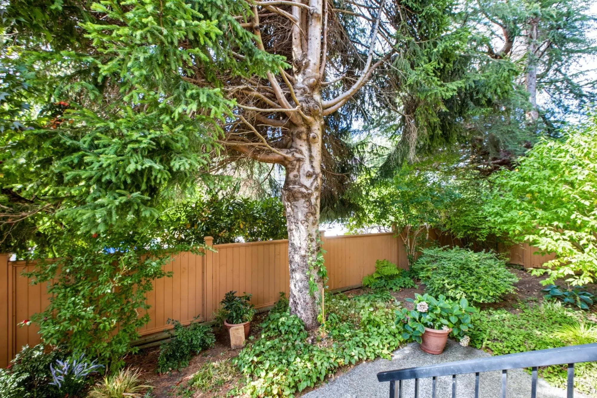 1442 Blackwood Street #119
