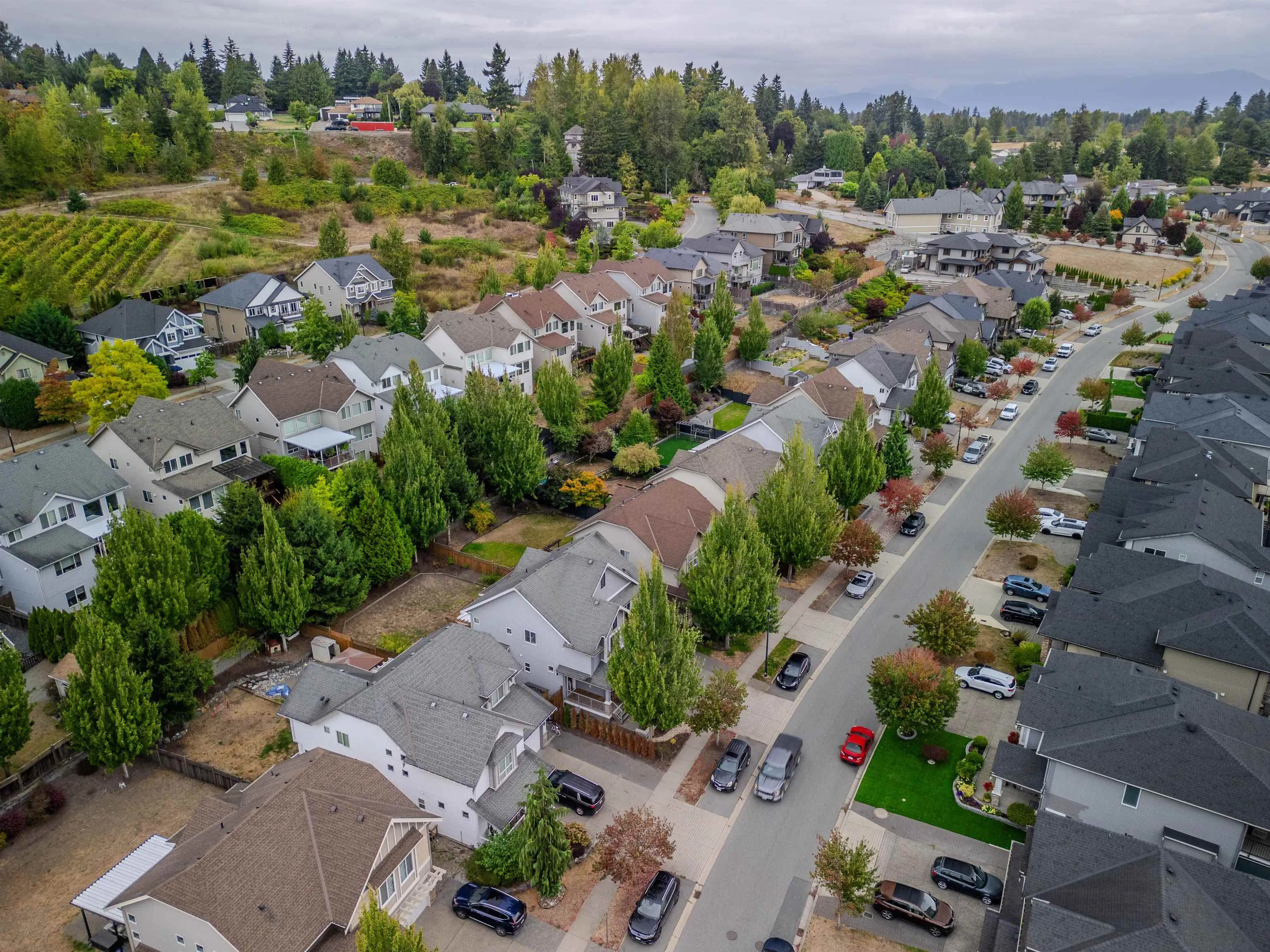 2293 Merlot Boulevard