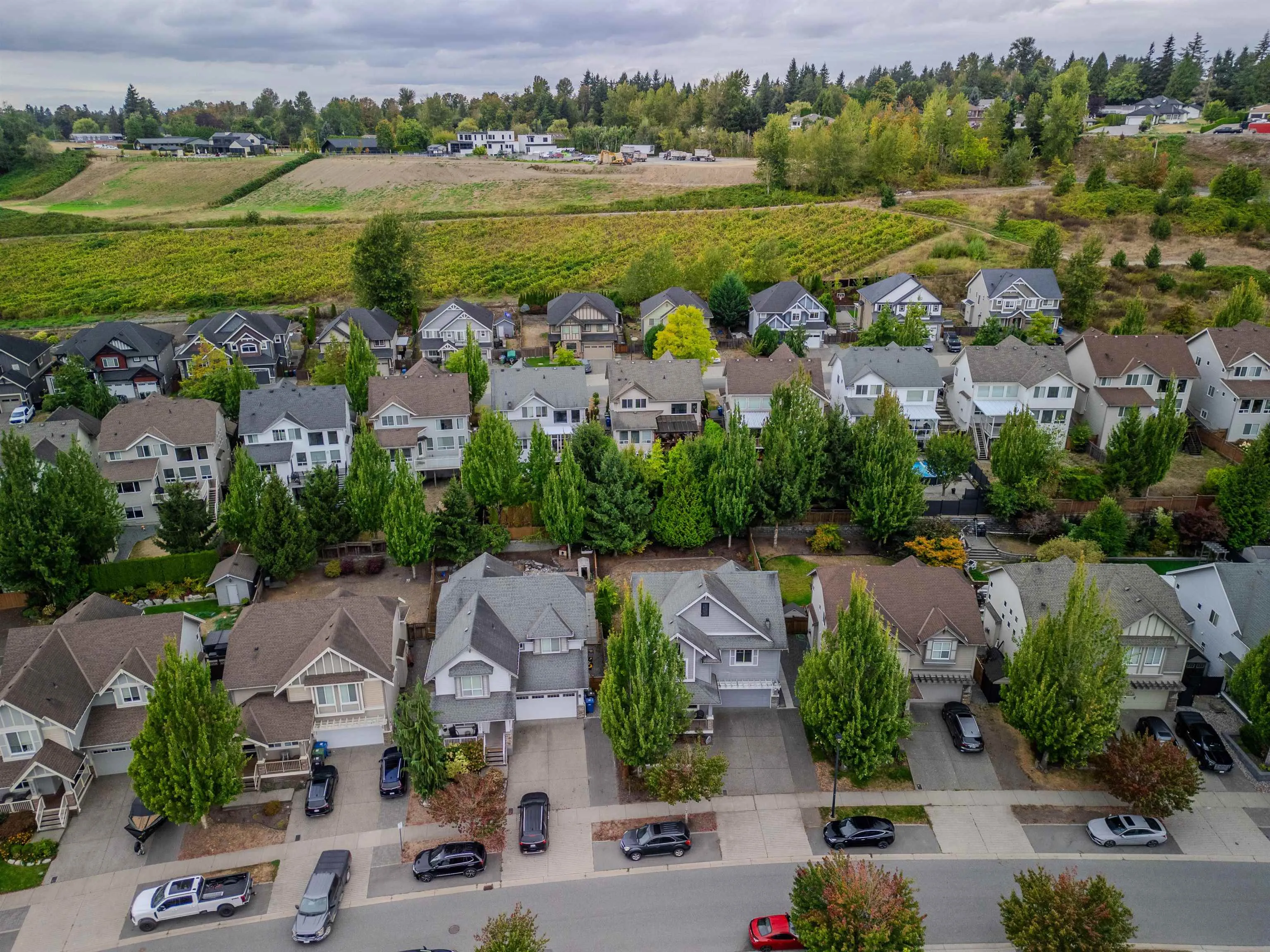 2293 Merlot Boulevard