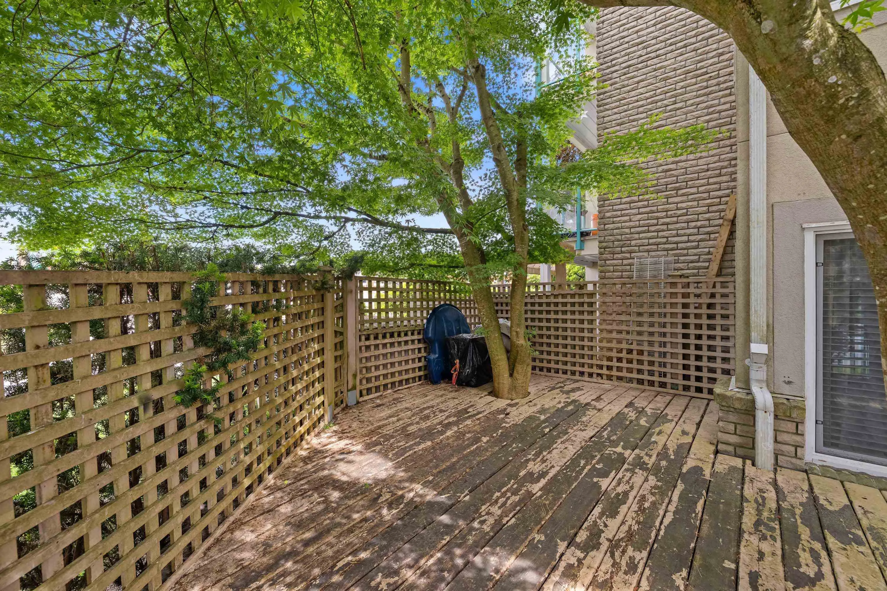 20433 53 Avenue #104