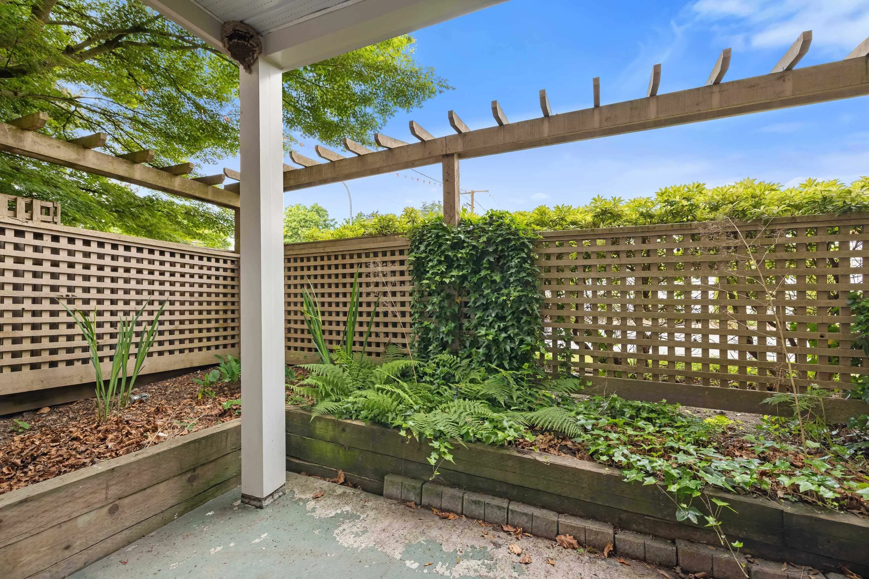 20433 53 Avenue #104