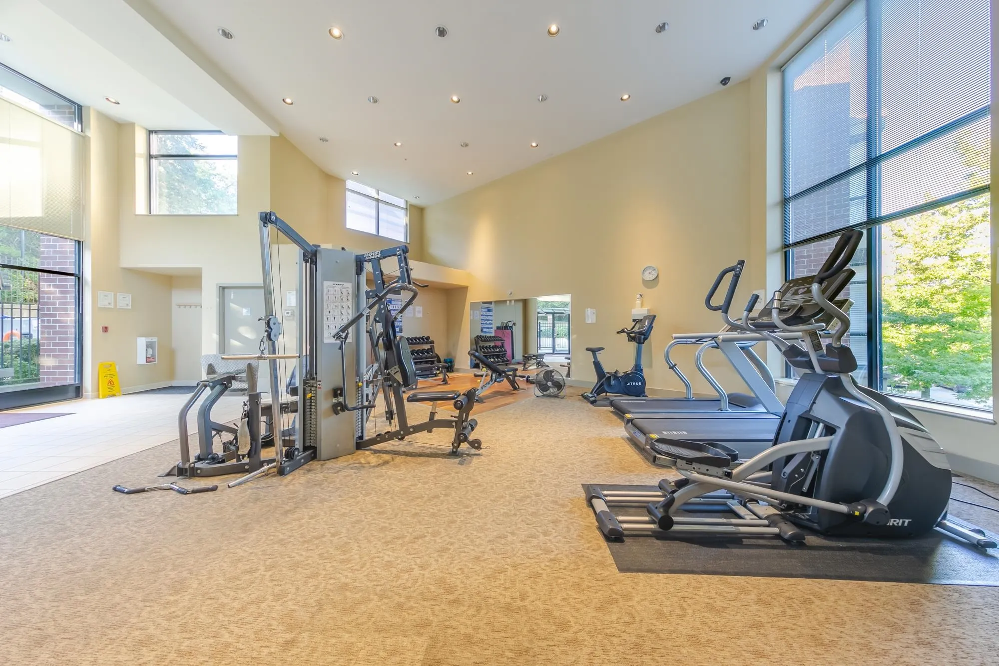 15 E Royal Avenue #2203