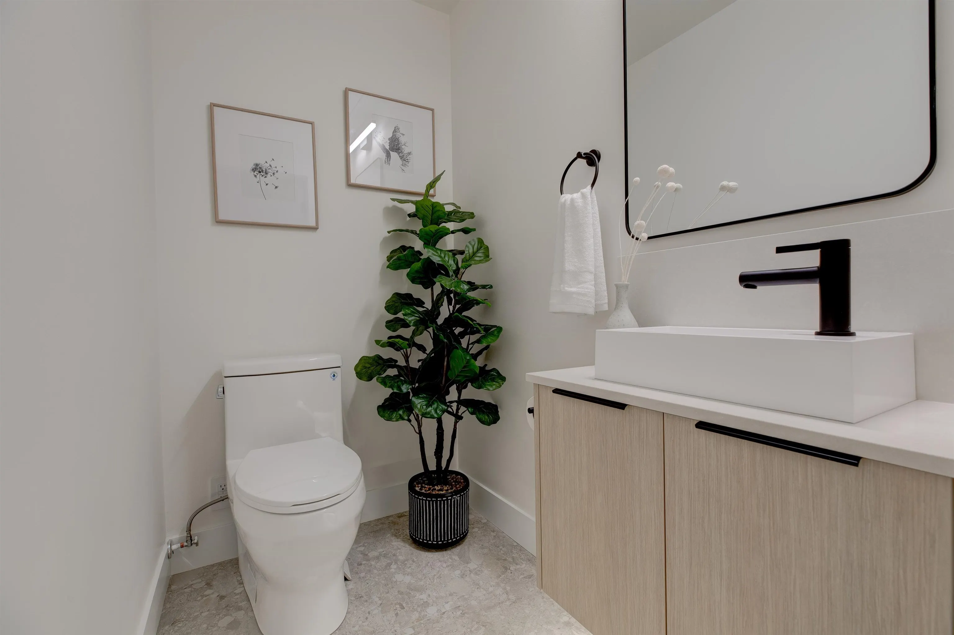 339 Keary Street #8