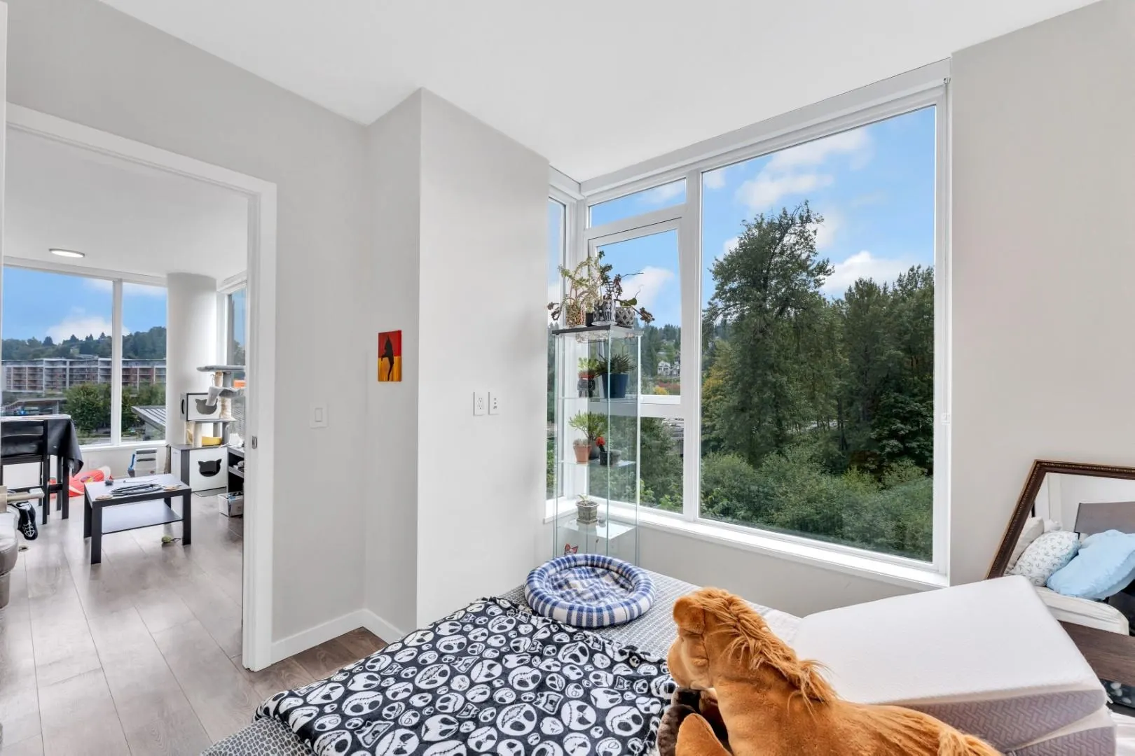 308 Morrissey Road #804