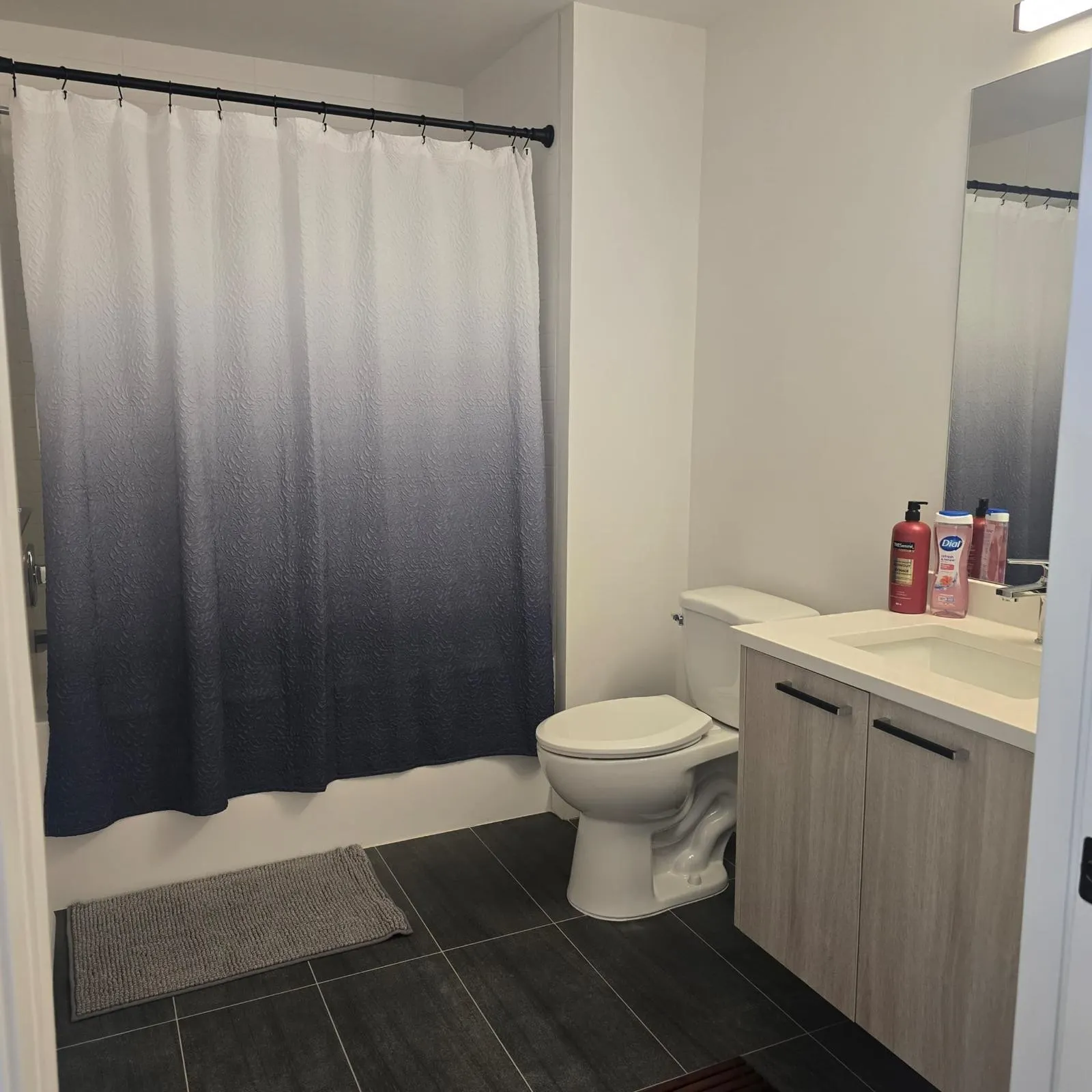 1100 Clarke Road #411
