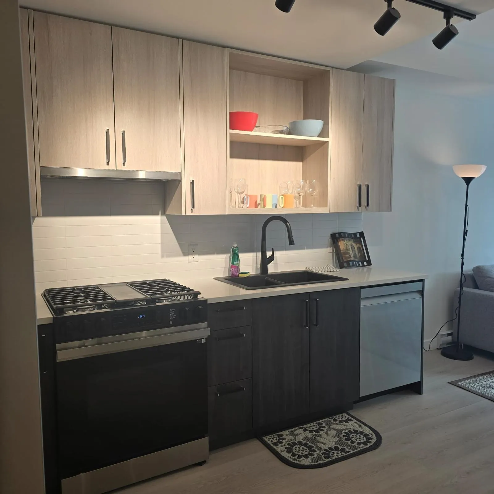1100 Clarke Road #411
