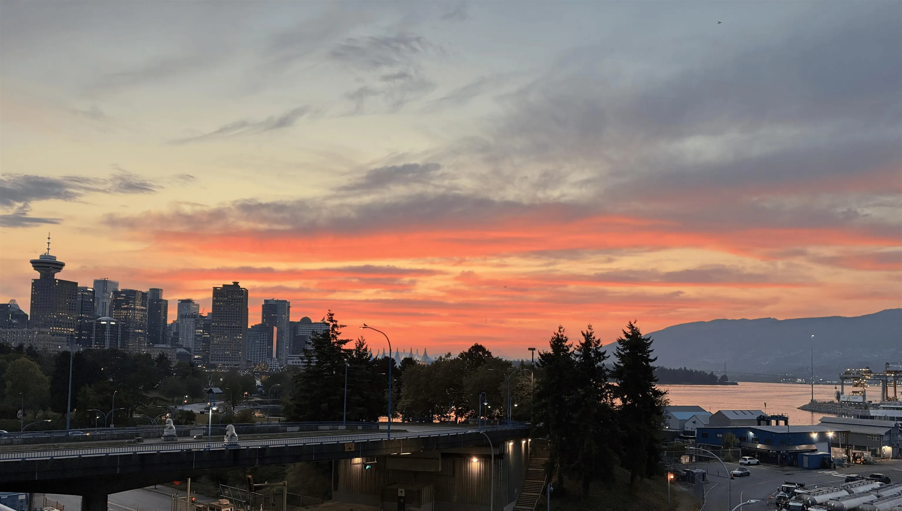289 Alexander Street #429
