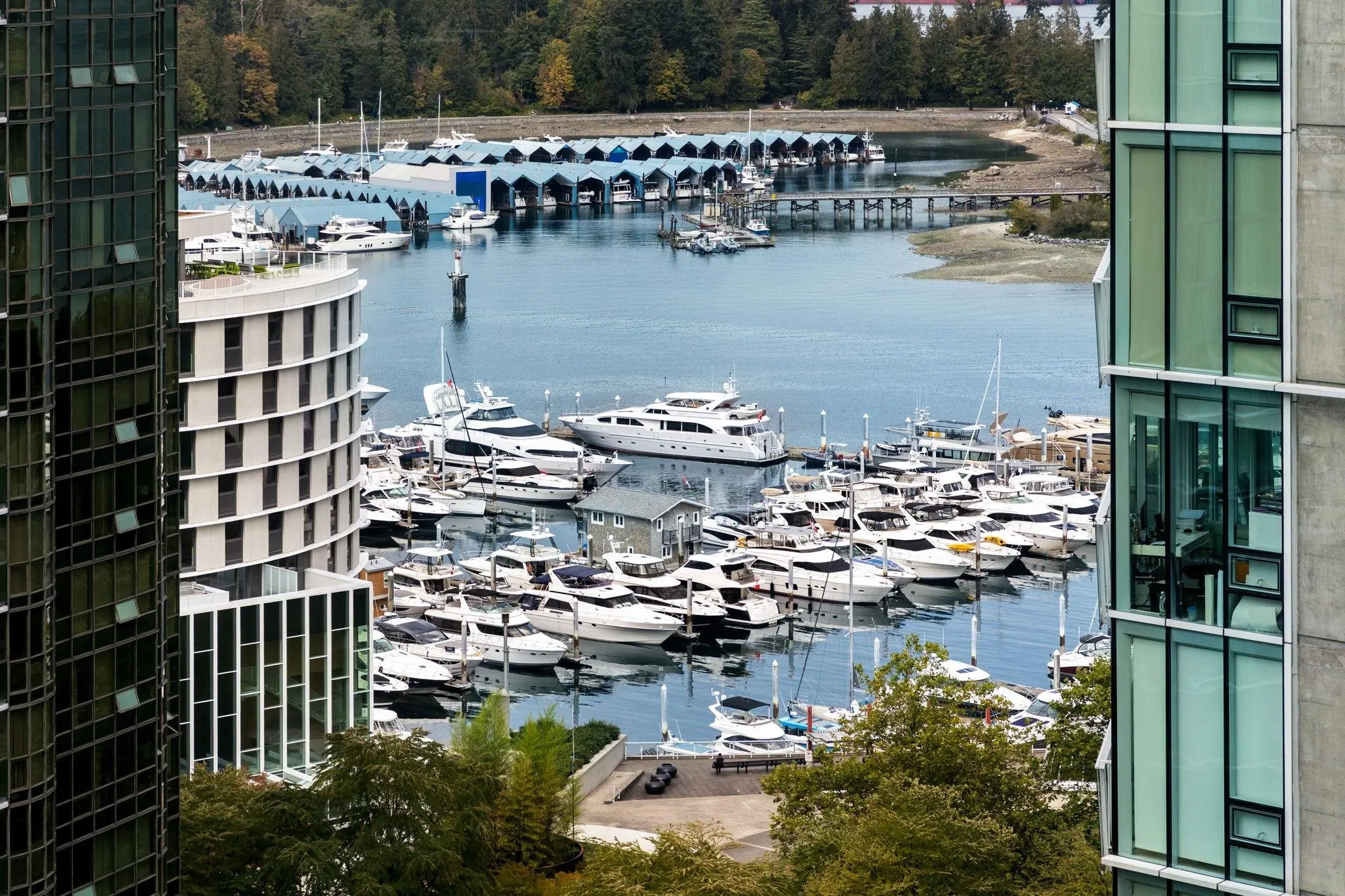 1238 Melville Street #1702