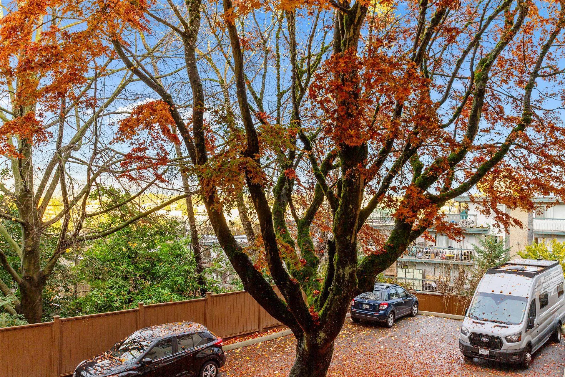 711 E 6th Avenue #213