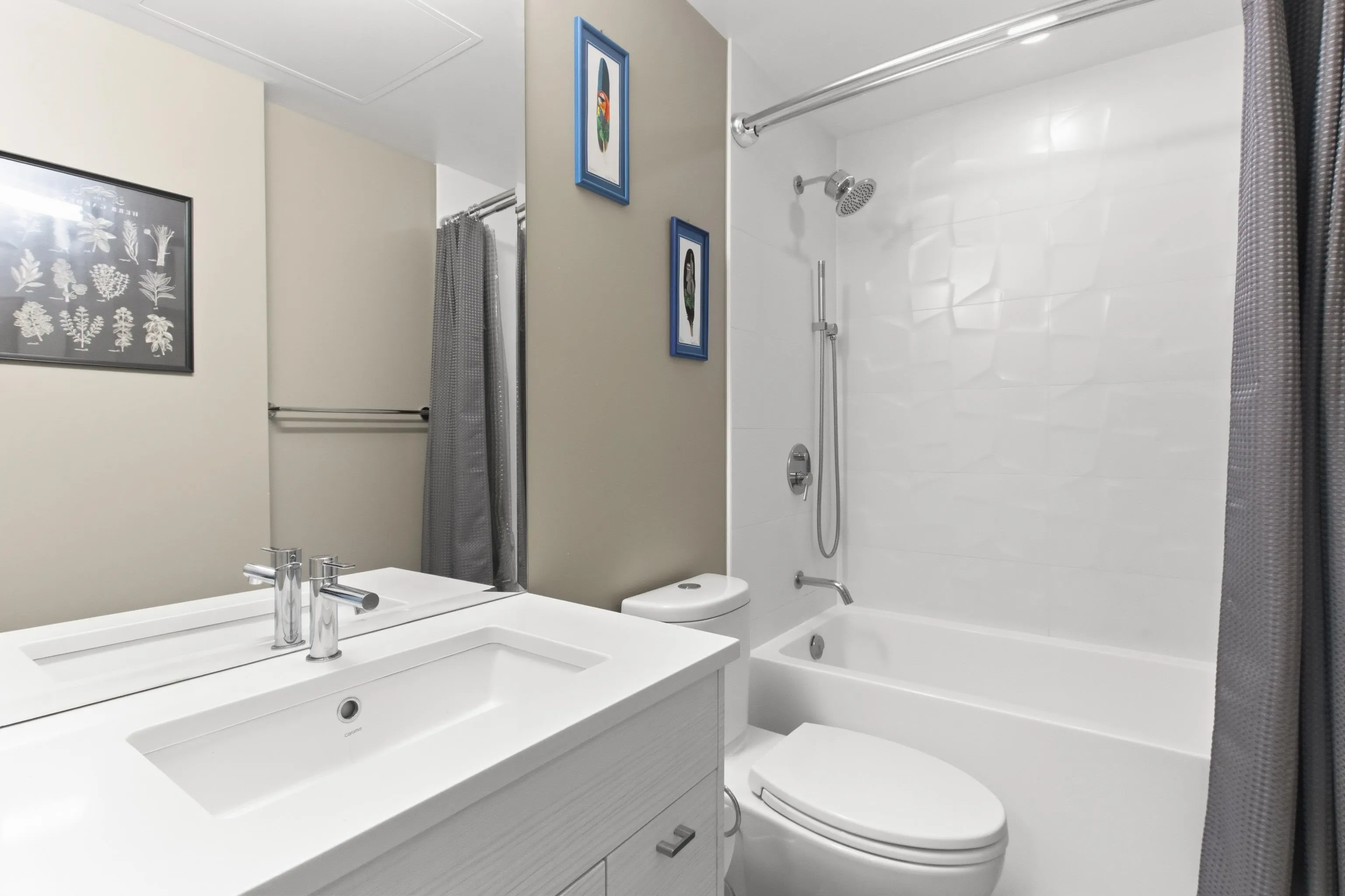 38033 Second Avenue #311