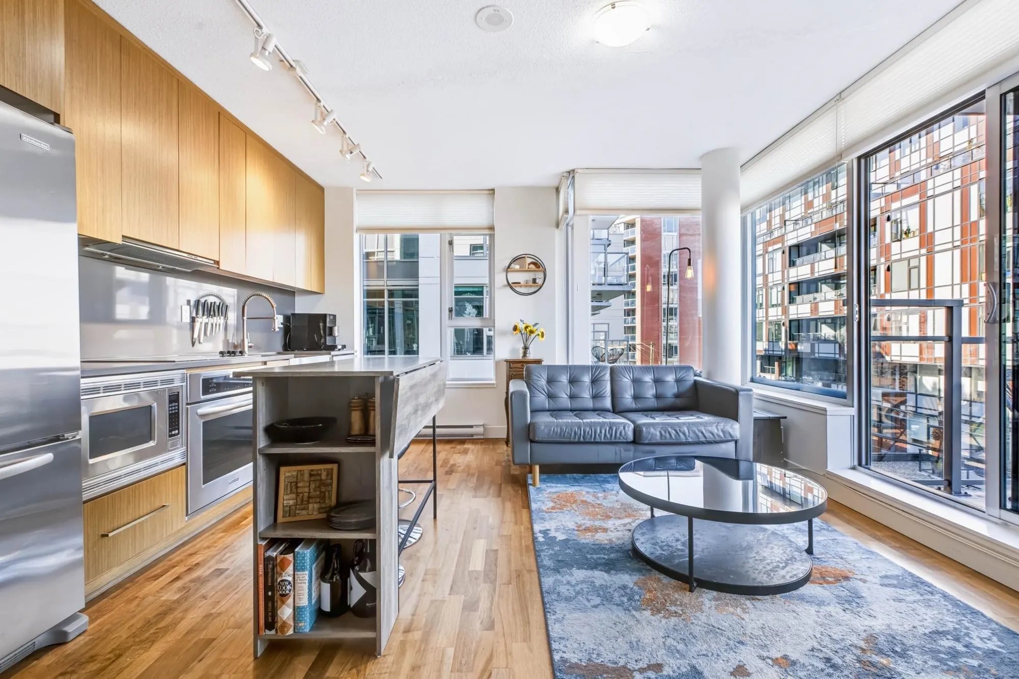 250 E 6th Avenue #716