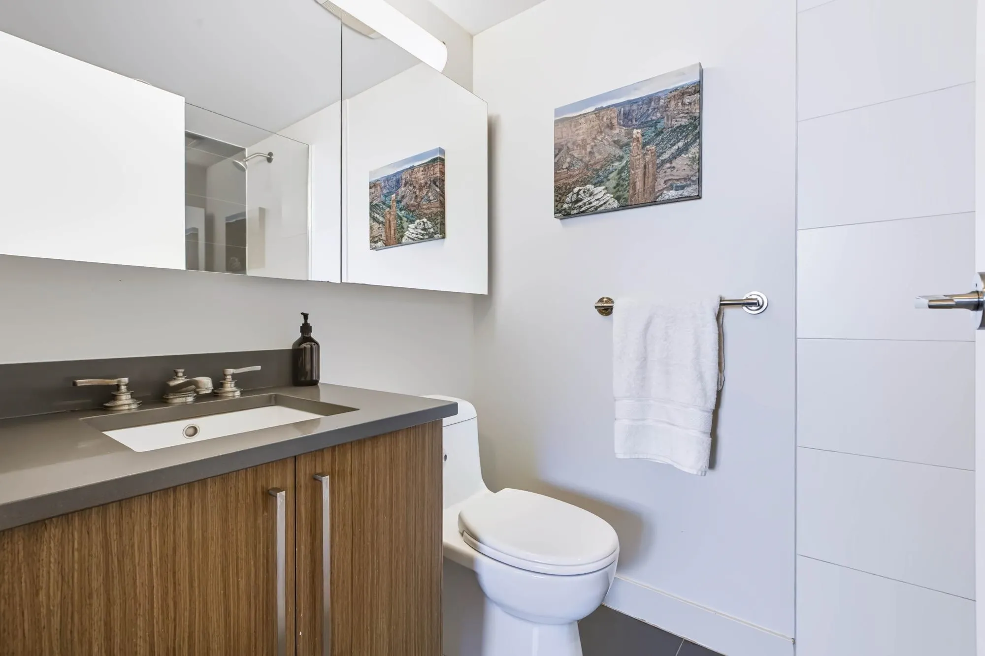 250 E 6th Avenue #716