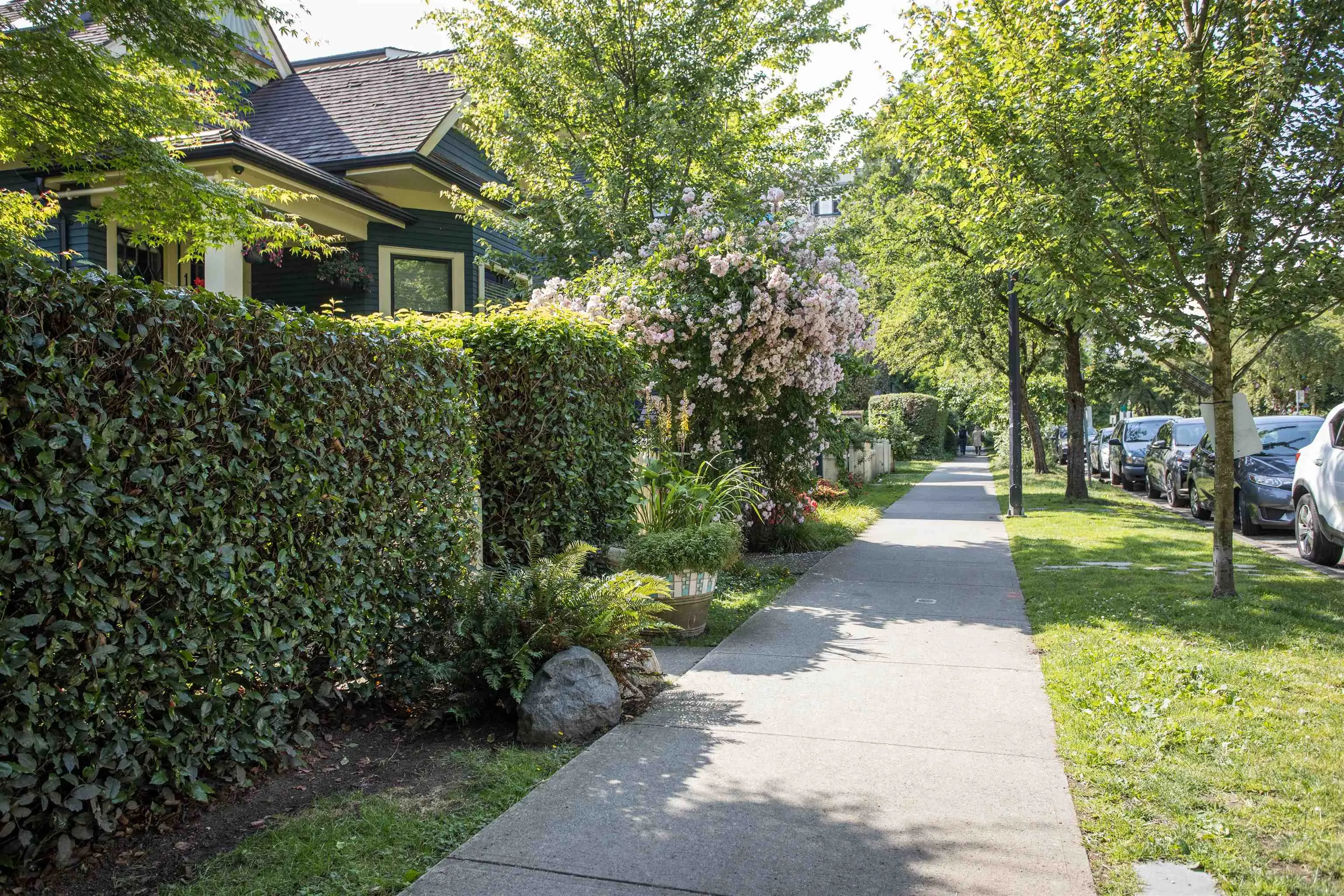 1152 Comox Street #2