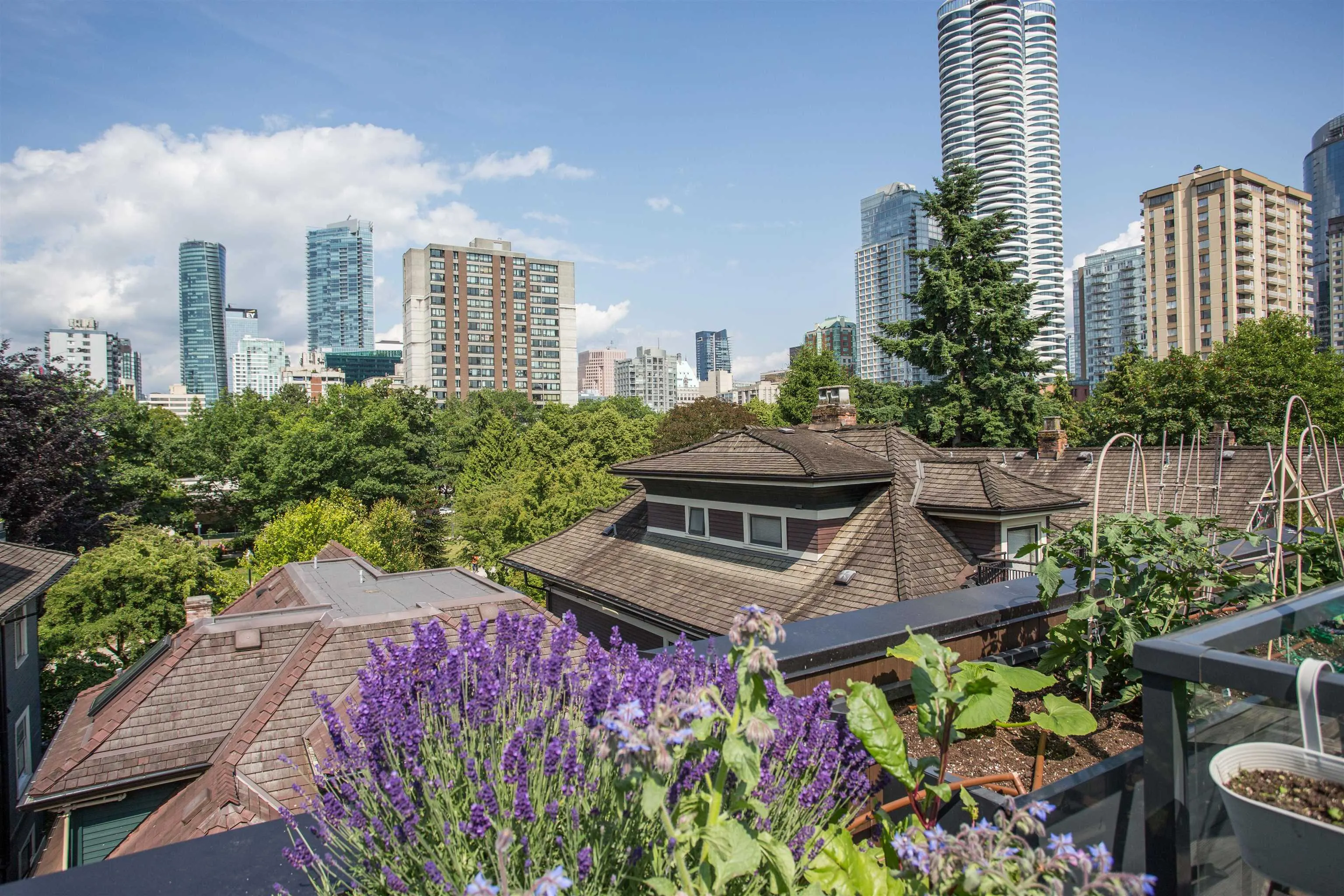 1152 Comox Street #2