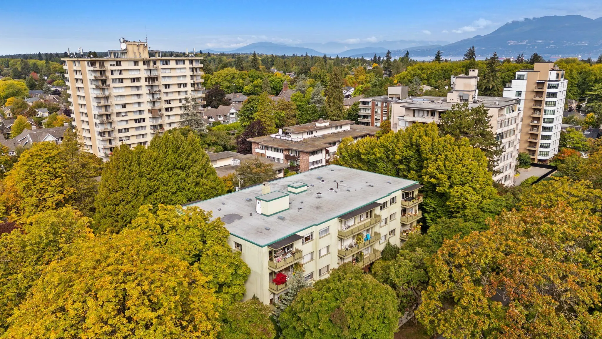 5475 Vine Street #204